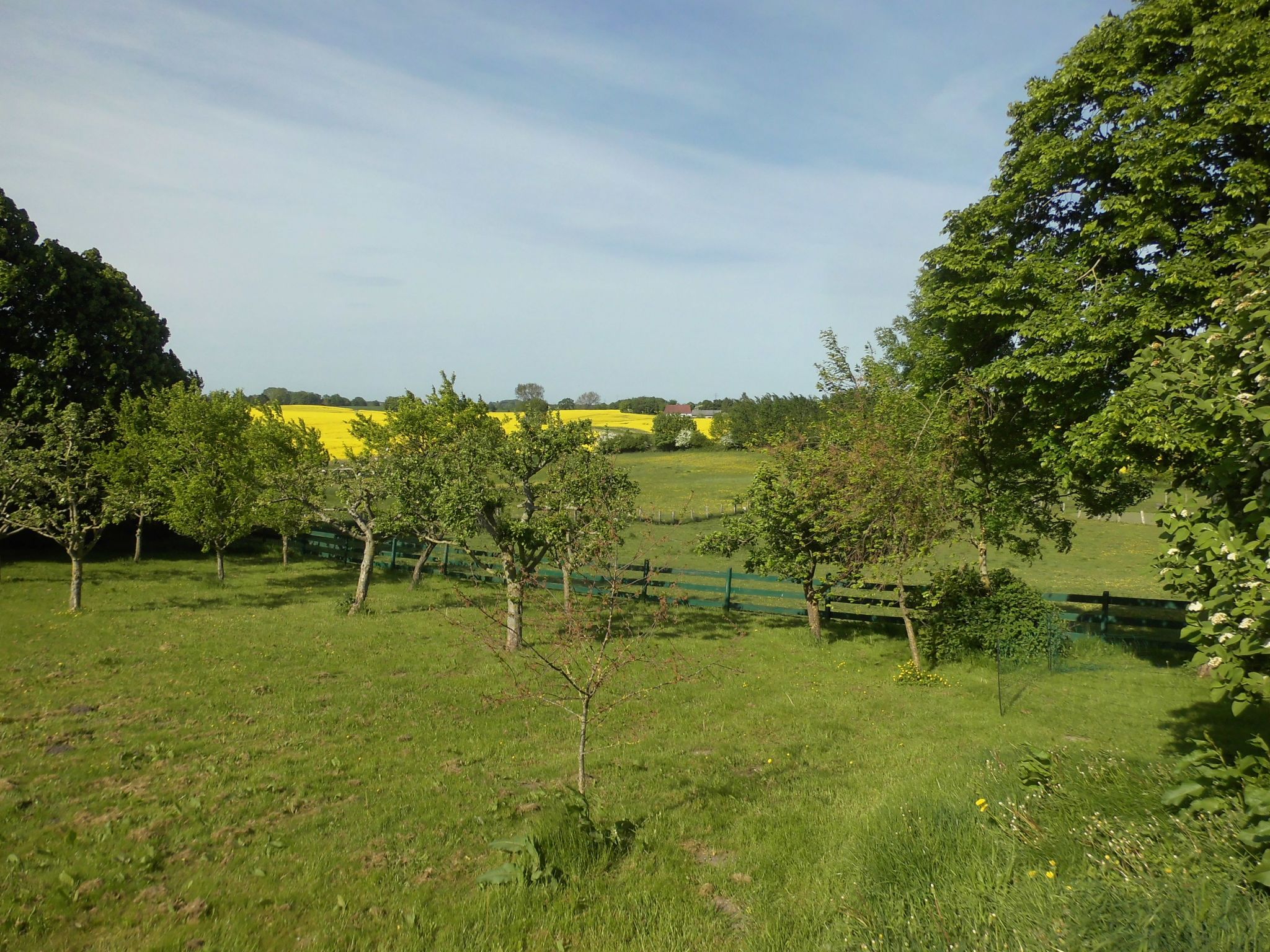 Haus in Zimmert mit Terrasse, Grill und Garten-Binnen