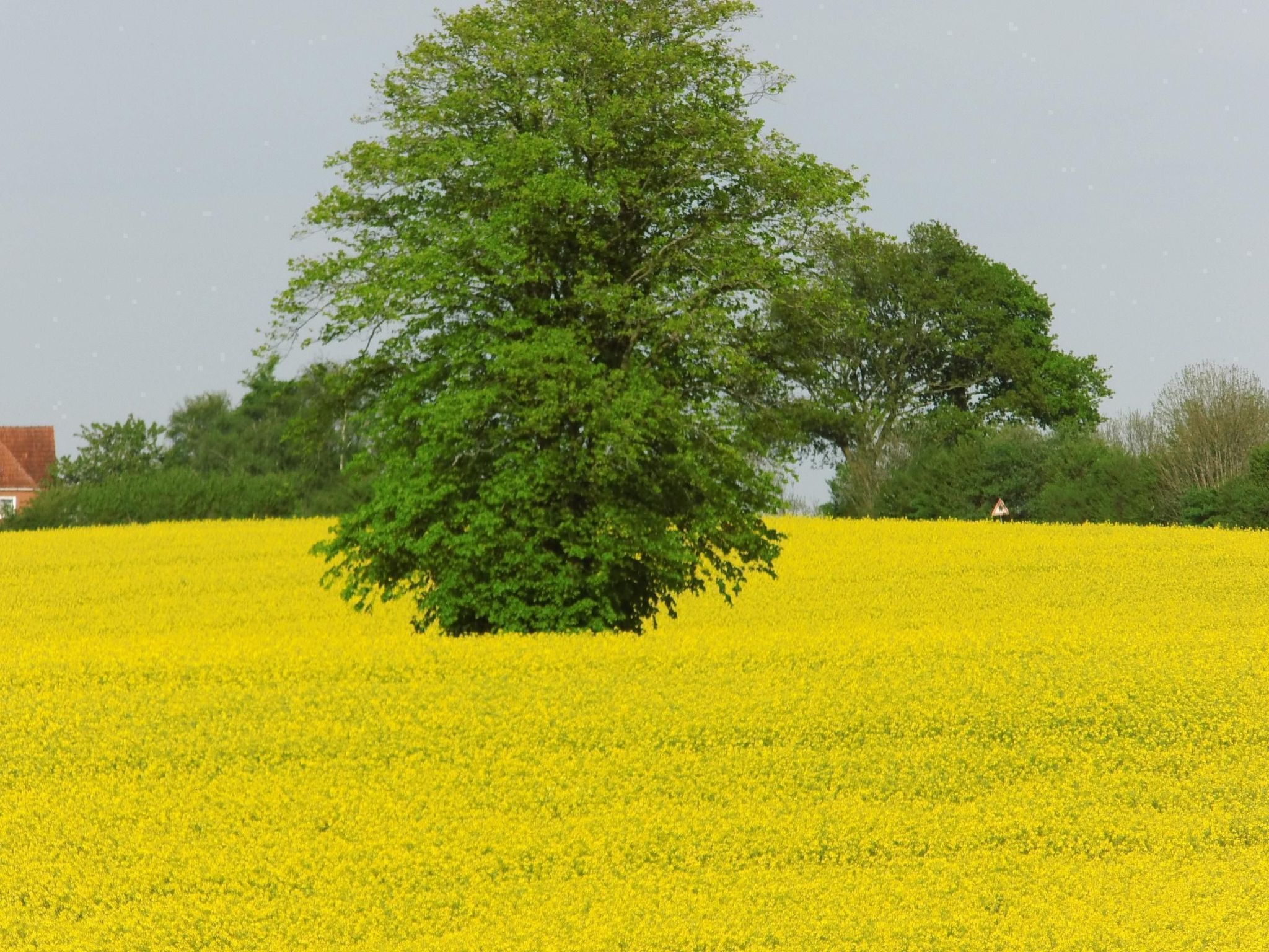 Fewo "Berliner"-Binnen