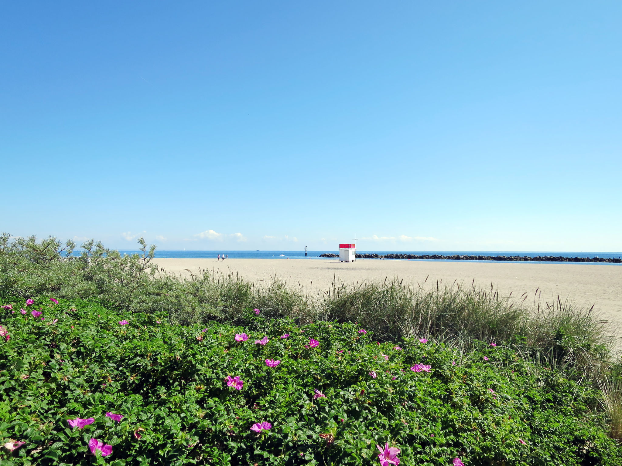 Spitzdachferienhaus mit Schwedenofen und Garten-Omgeving