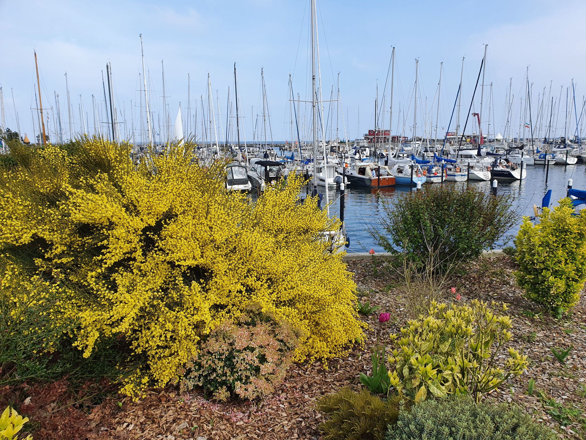 Komfortable Ferienwohnung in Ostseebad Damp mit Großer Terrasse-Image-tags.info