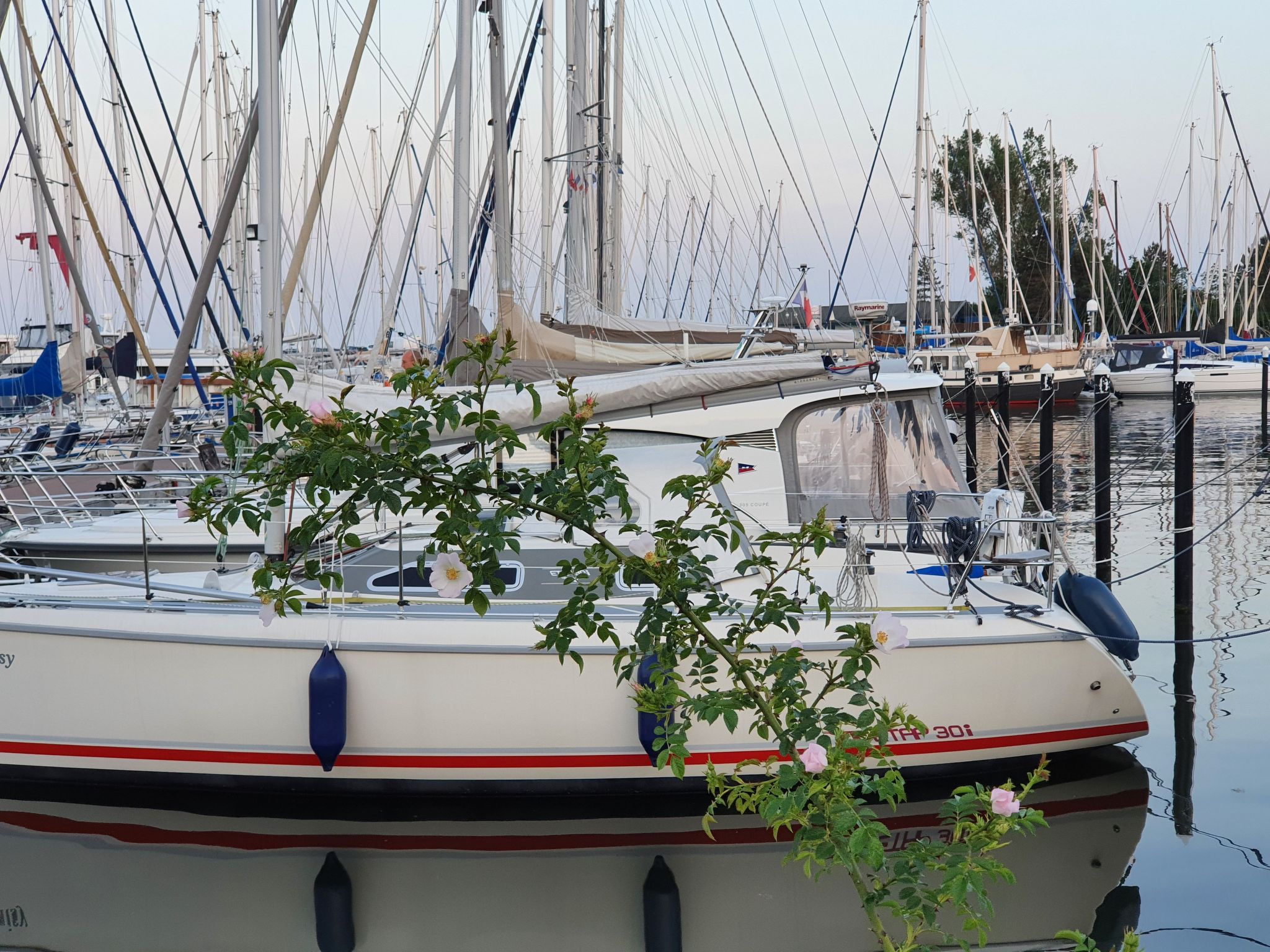 Komfortable Ferienwohnung in Ostseebad Damp mit Großer Terrasse-Image-tags.info