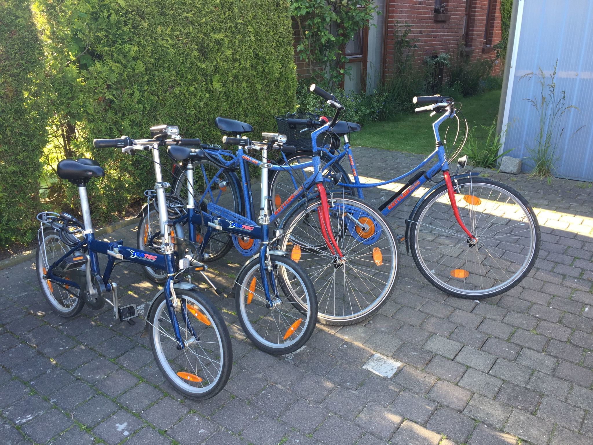 Baltic Joy-Image-tags.info