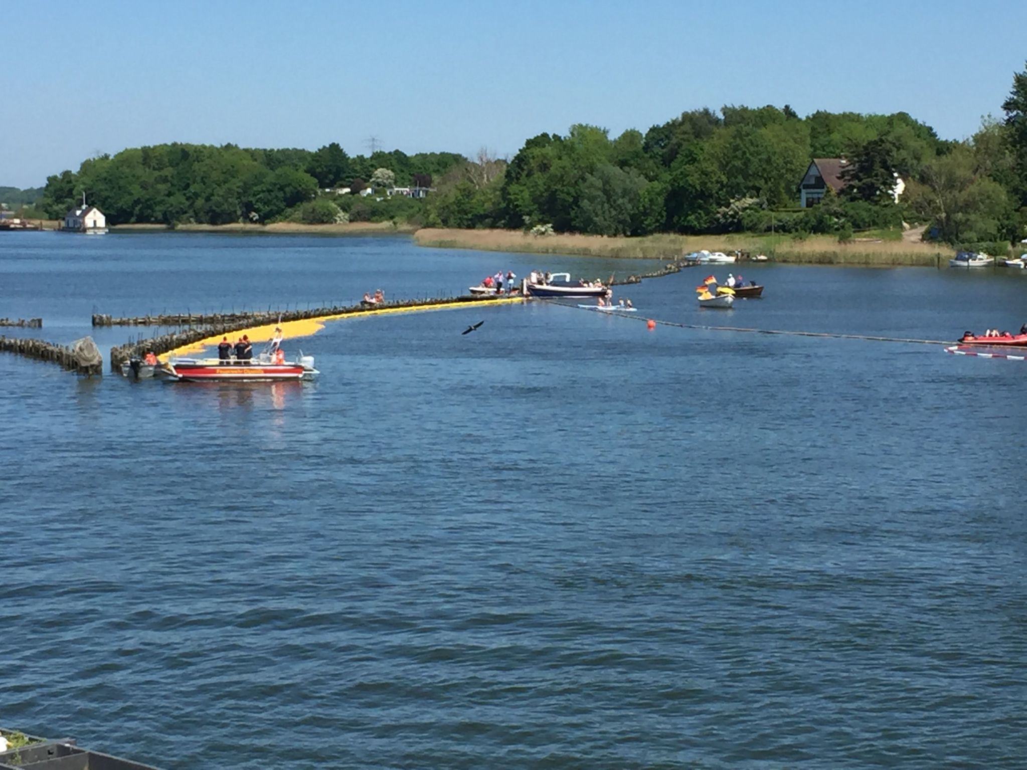 Baltic Joy-Image-tags.info