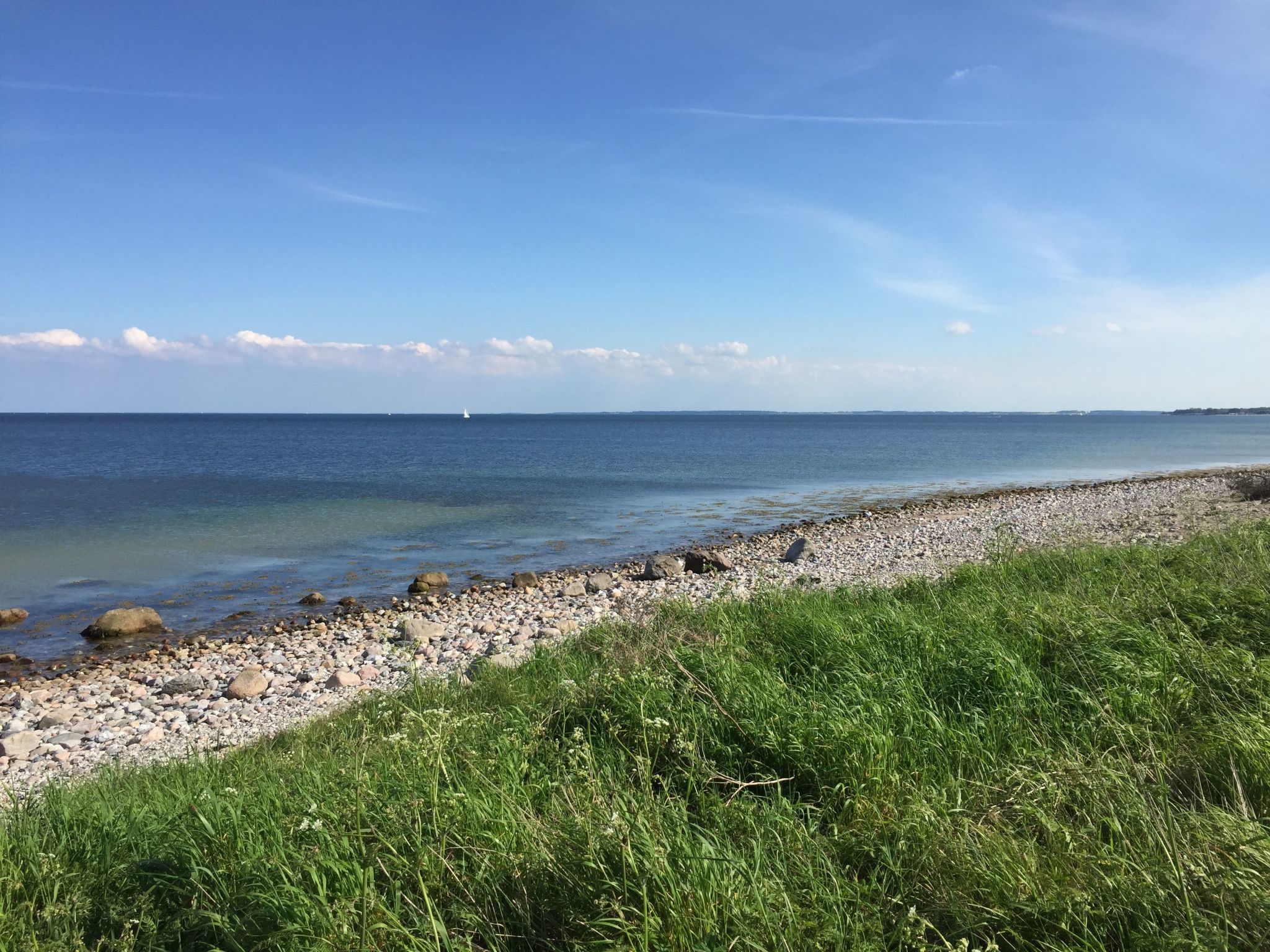 Baltic Joy-Image-tags.info