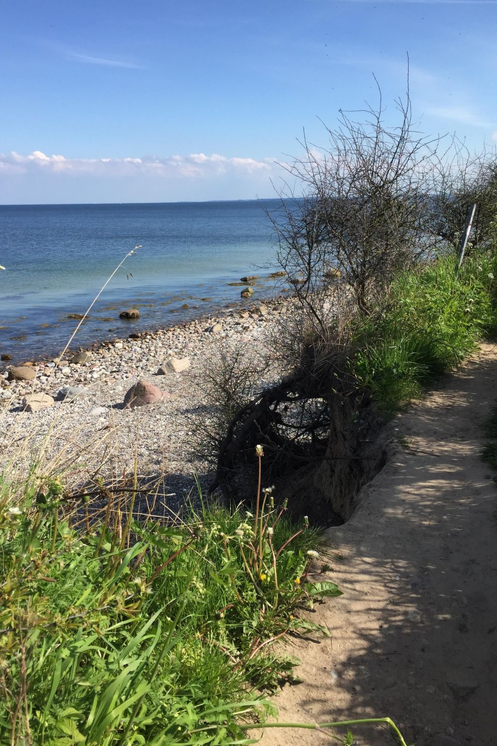 Baltic Joy-Image-tags.info