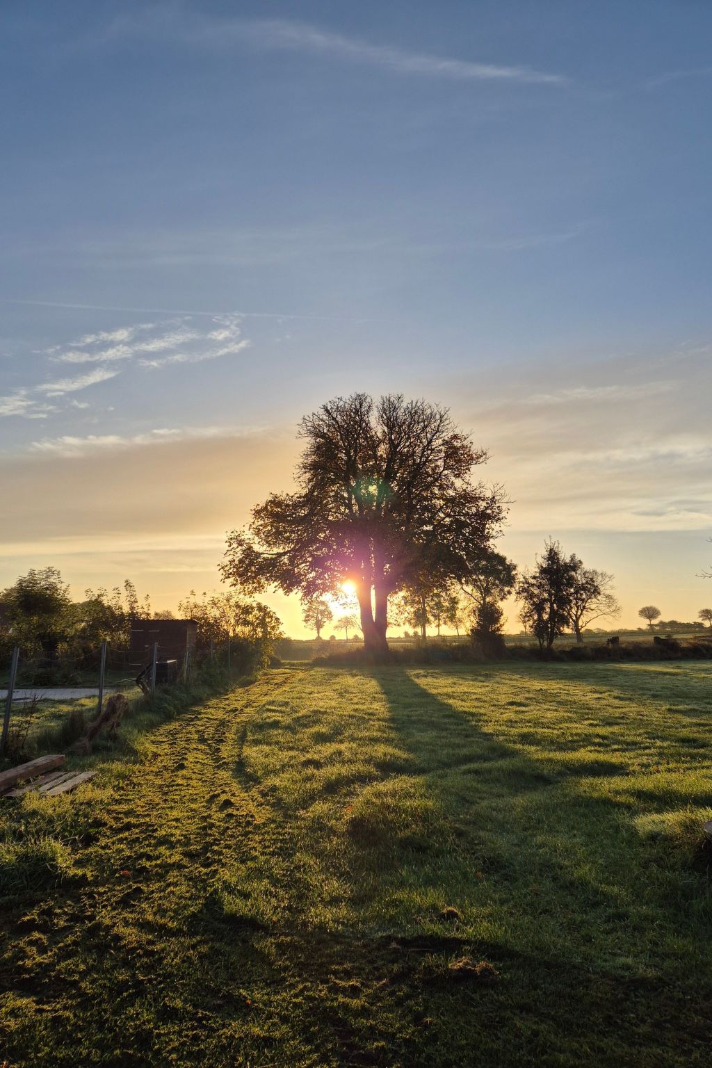 Wunderschöne Ferienwohnung mit Terrasse und Garten-Image-tags.info