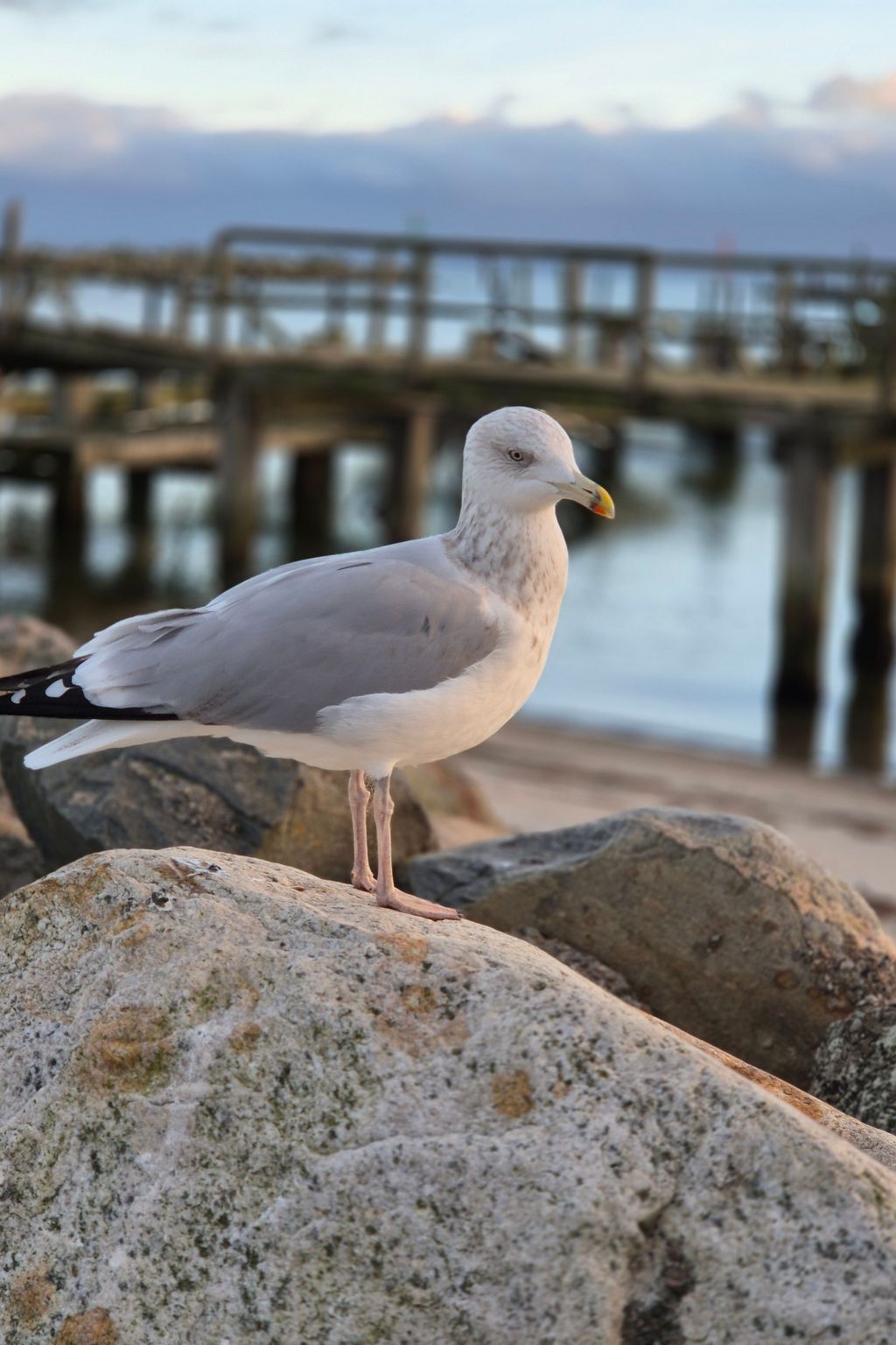 Wunderschöne Ferienwohnung mit Terrasse und Garten-Image-tags.info