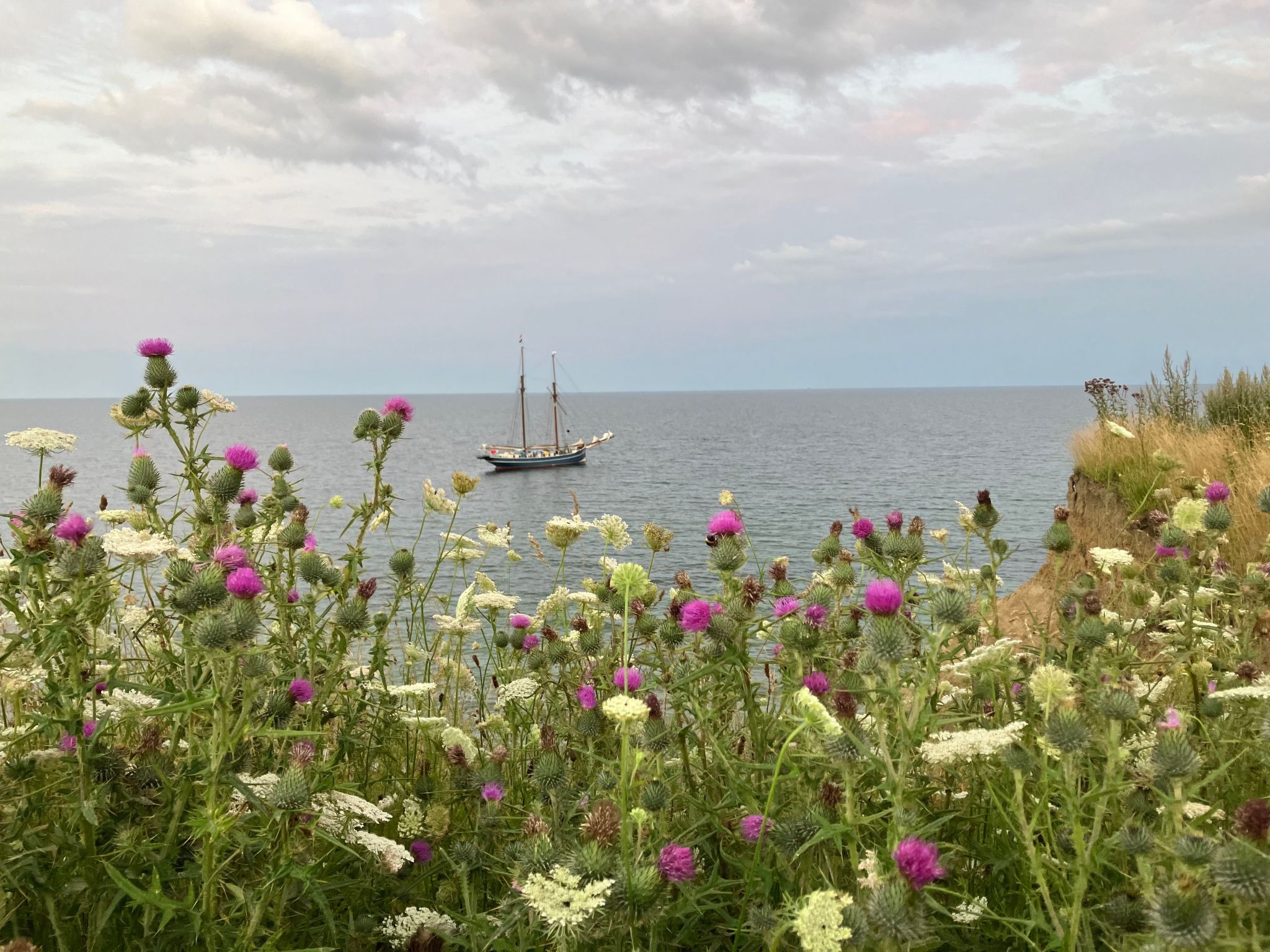 Haus mit Herz-Binnen