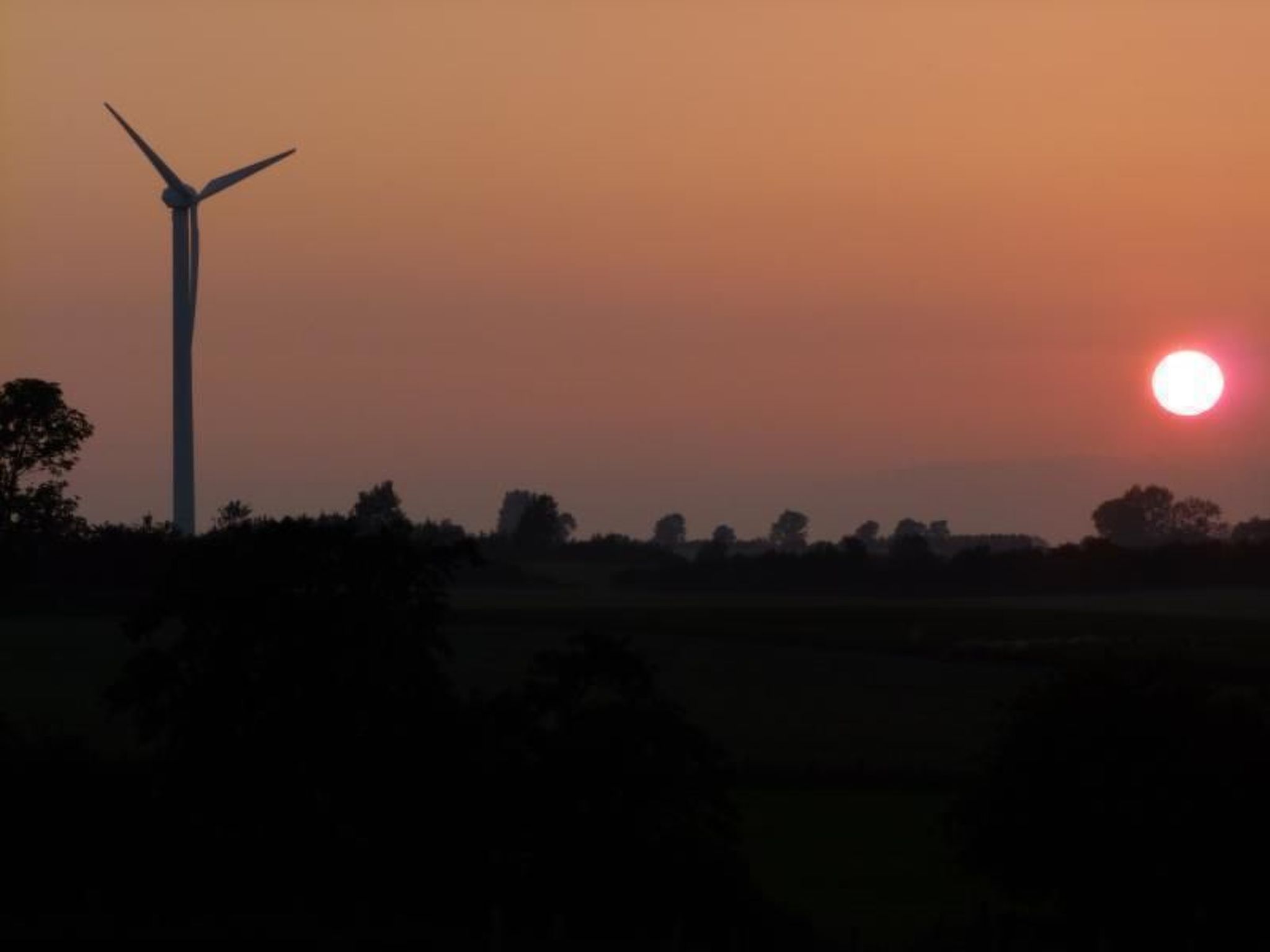 Appartement im Ostseebad Schönhagen-Binnen