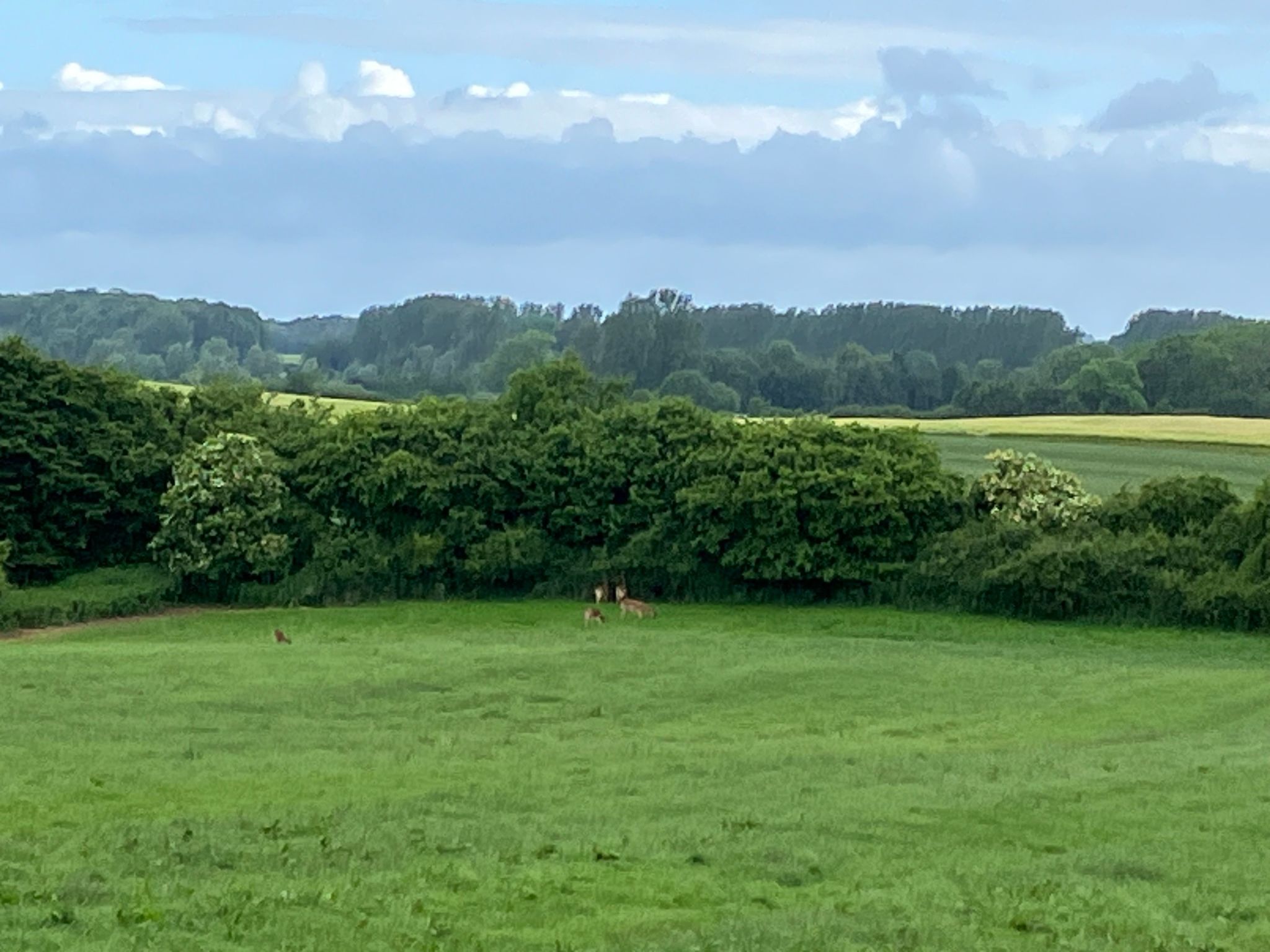 Appartement im Ostseebad Schönhagen-Binnen