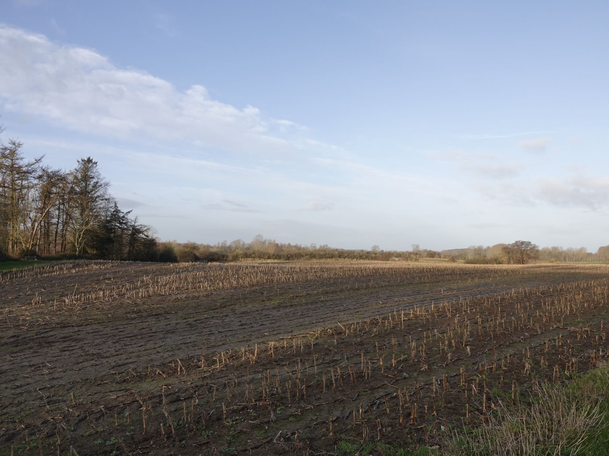 Hygge hus, tolle Ostseelage, freier Blick auf Felder-Binnen
