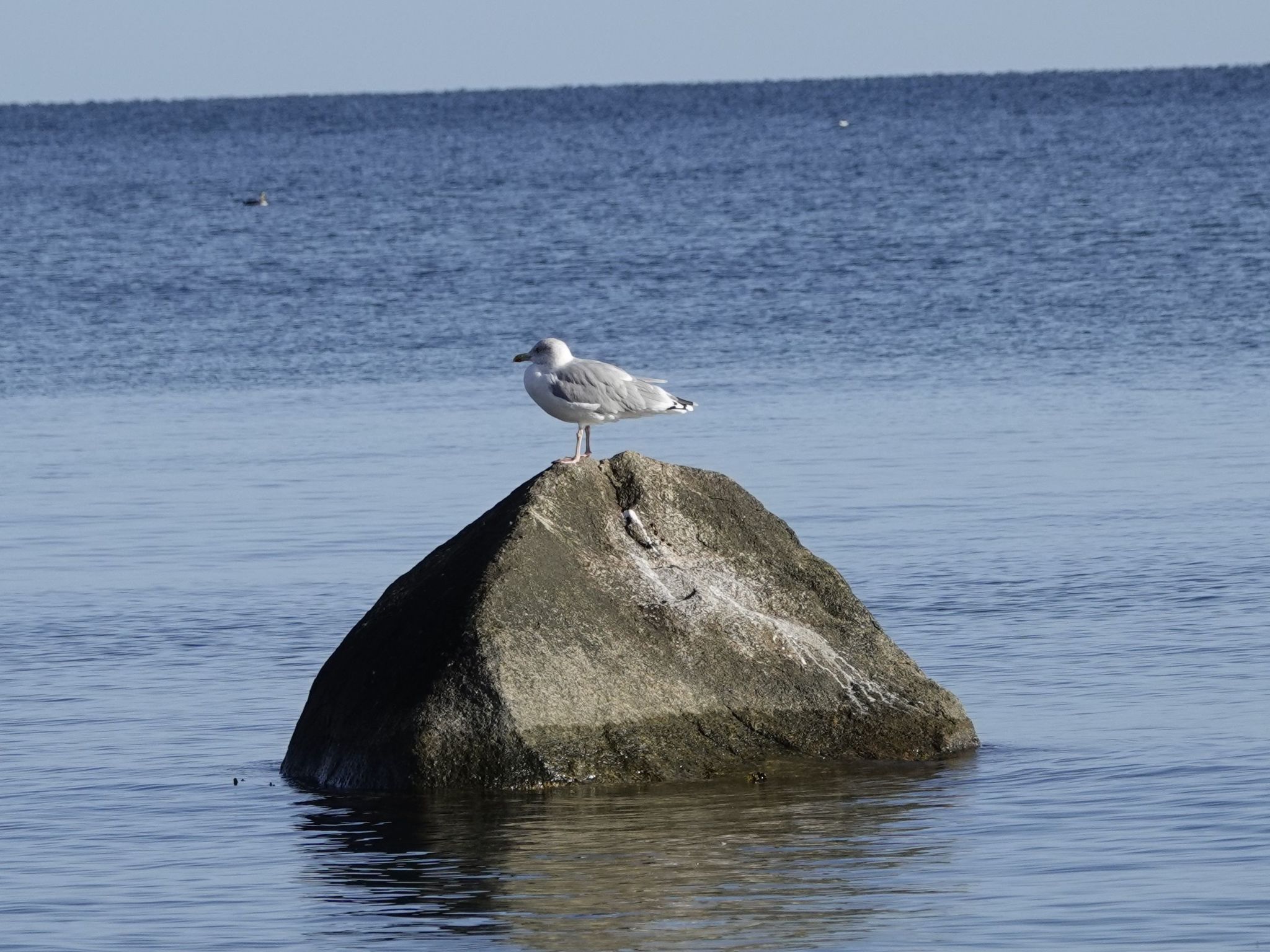 Hygge hus, tolle Ostseelage, freier Blick auf Felder-Binnen