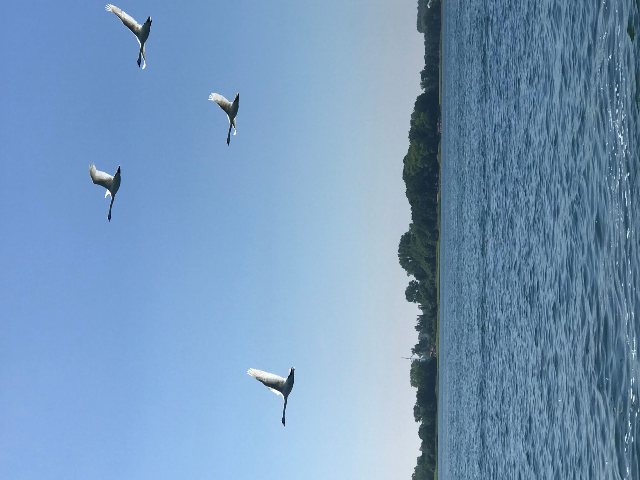 Hygge hus, tolle Ostseelage, freier Blick auf Felder-Binnen