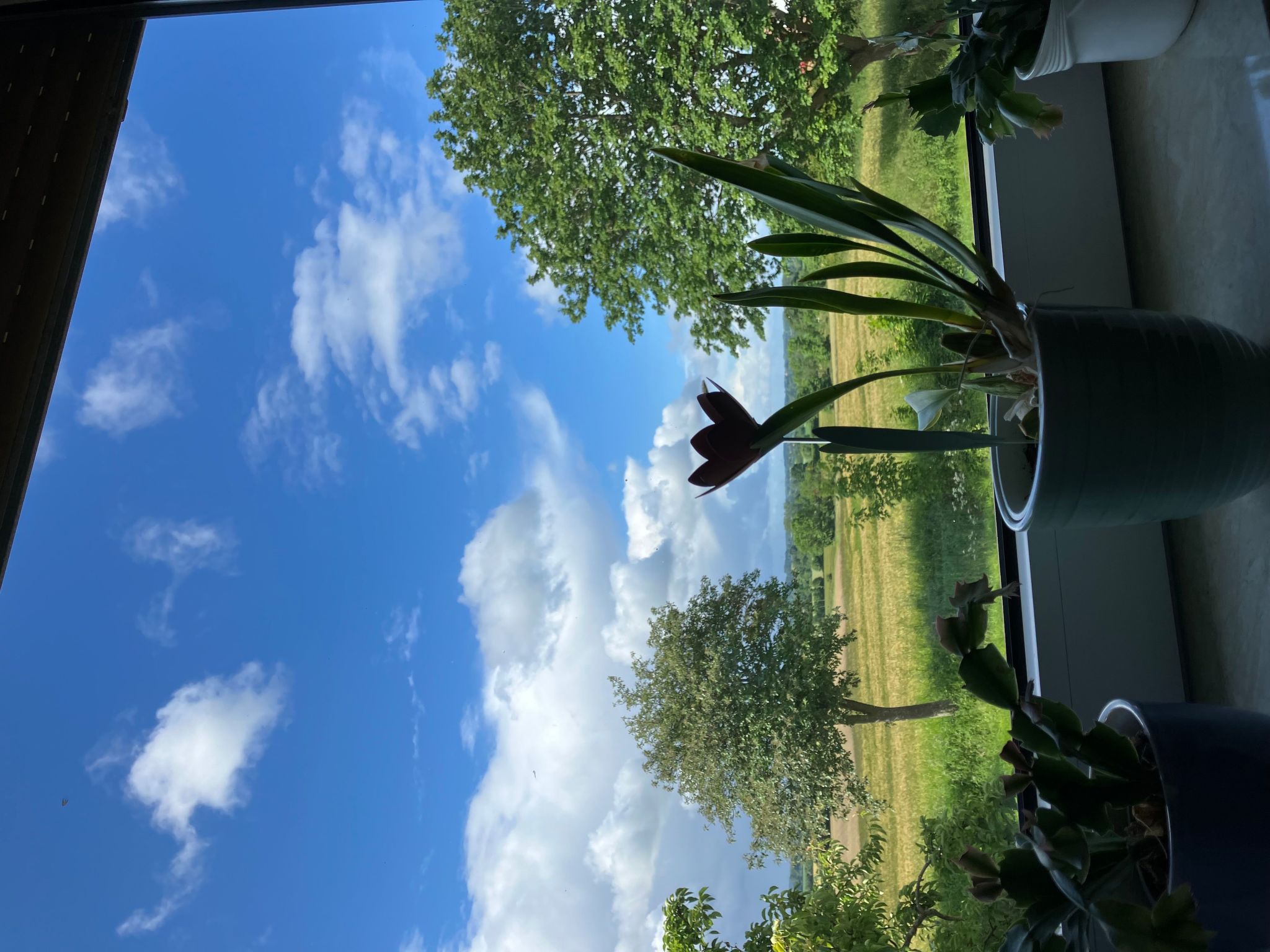 Gemütliche Ferienwohnung in Brodersby-Schönhagen-Binnen