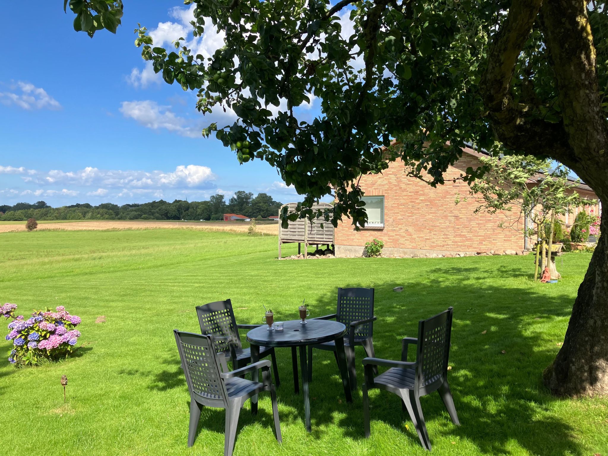 Gemütliche Ferienwohnung in Brodersby-Schönhagen-Binnen