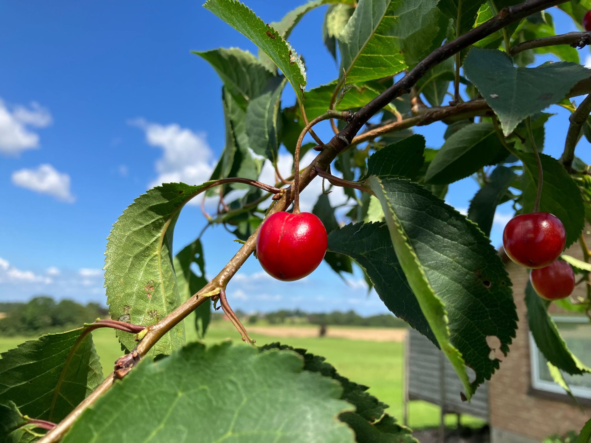 Gemütliche Ferienwohnung in Brodersby-Schönhagen-Binnen