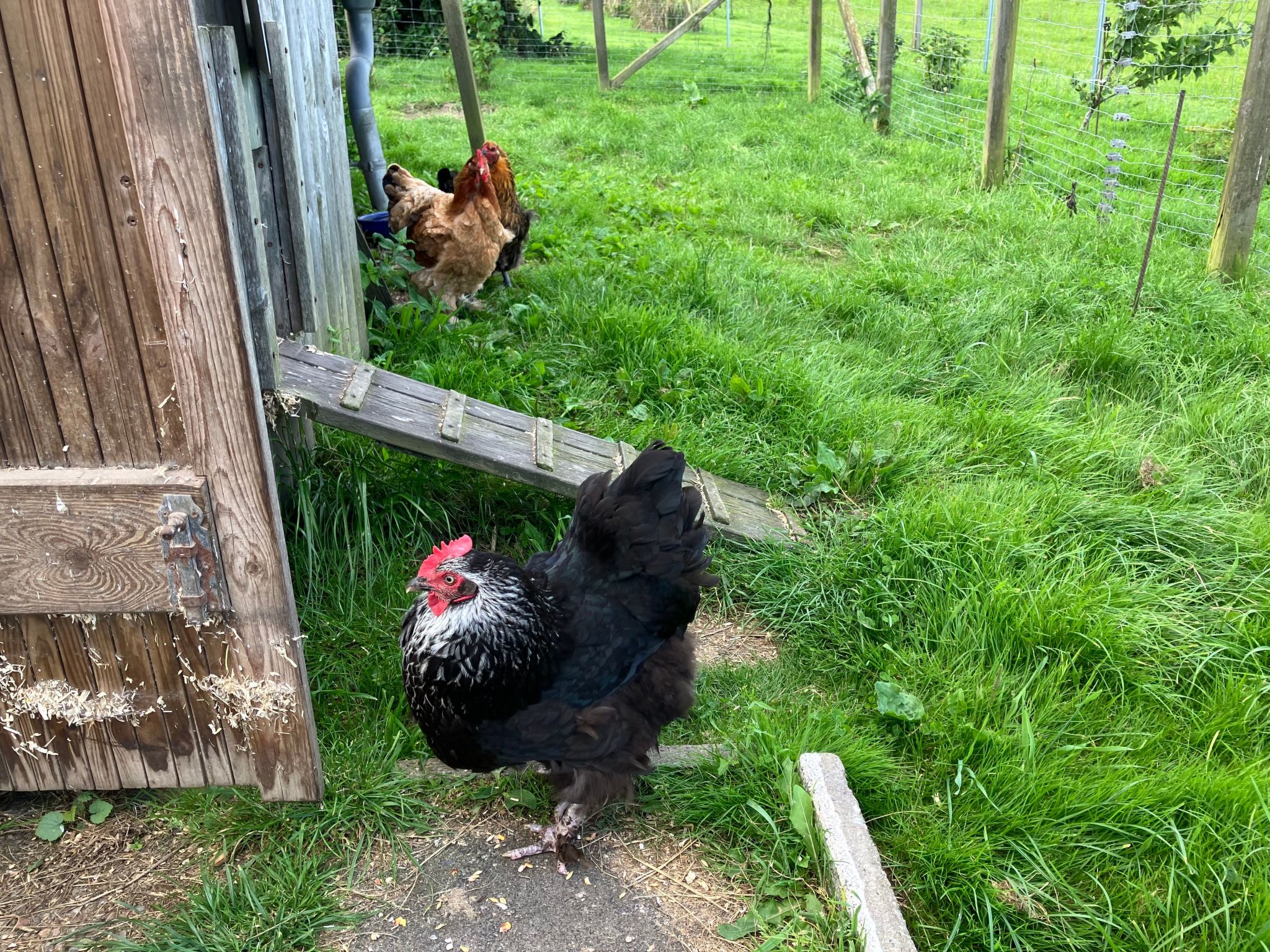 Gemütliche Ferienwohnung in Brodersby-Schönhagen-Binnen