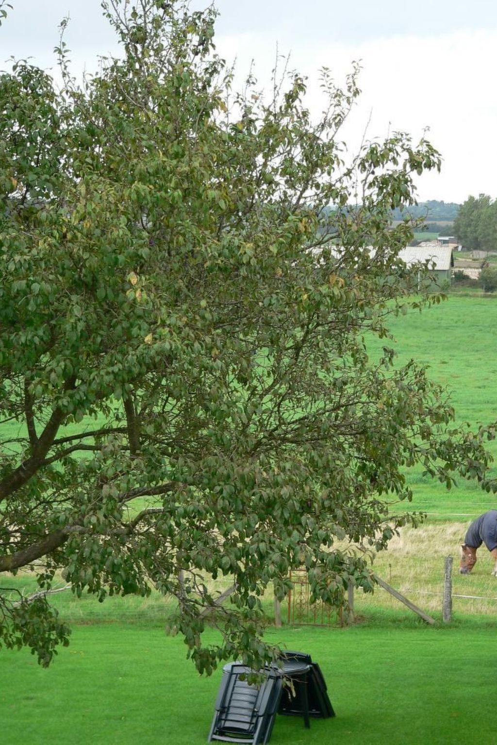 Wohnung Haus mit Herz in Brodersby-Schönhagen-Binnen