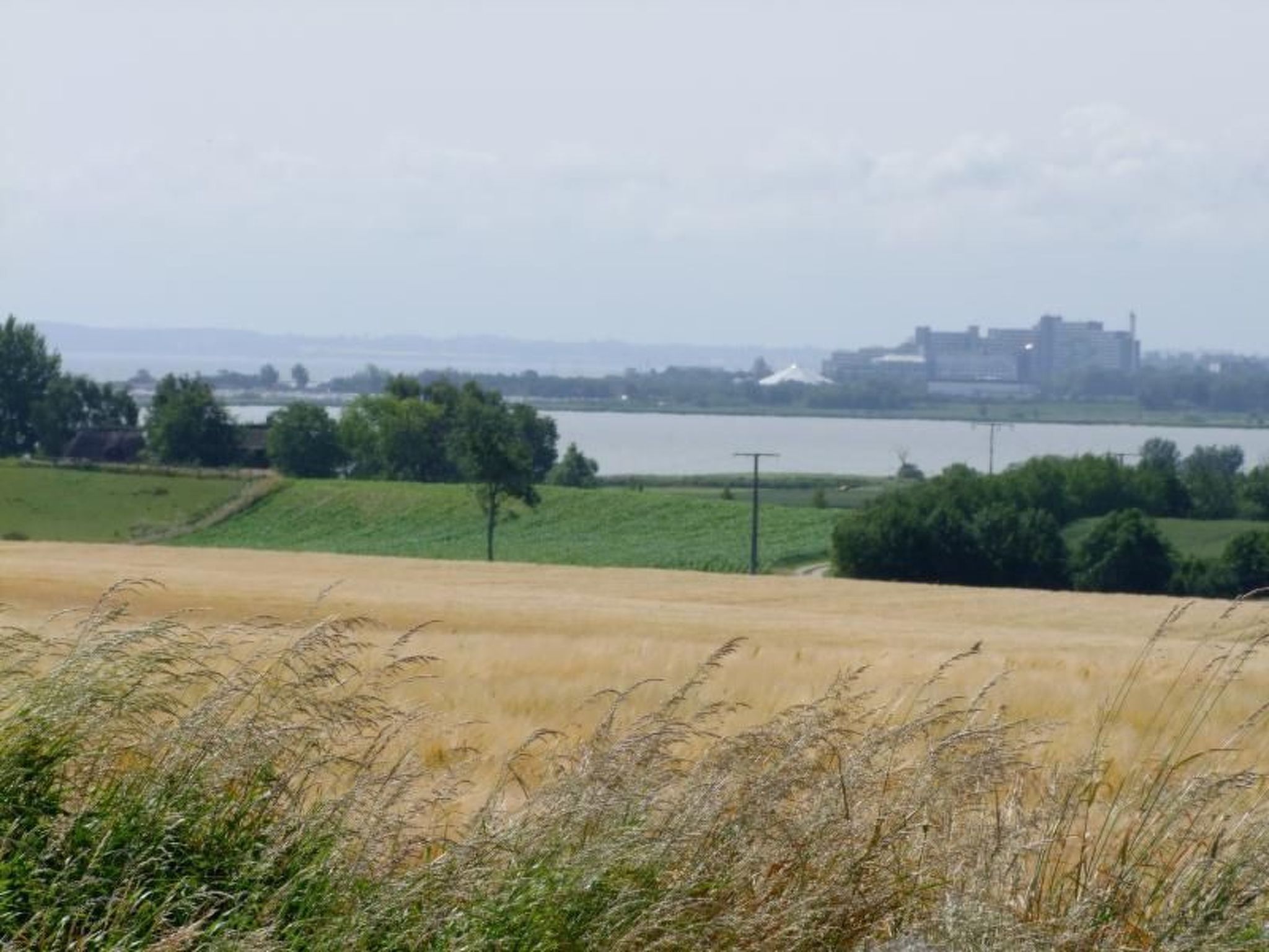 Wohnung Haus mit Herz in Brodersby-Schönhagen-Binnen