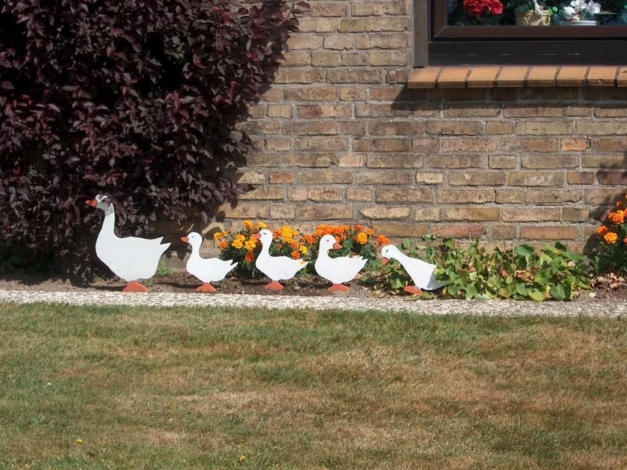 Wohnung Haus mit Herz in Brodersby-Schönhagen-Binnen