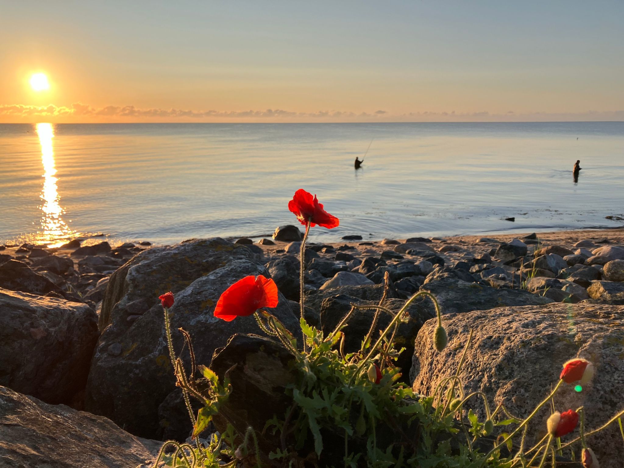 Wohnung Haus mit Herz in Brodersby-Schönhagen-Binnen