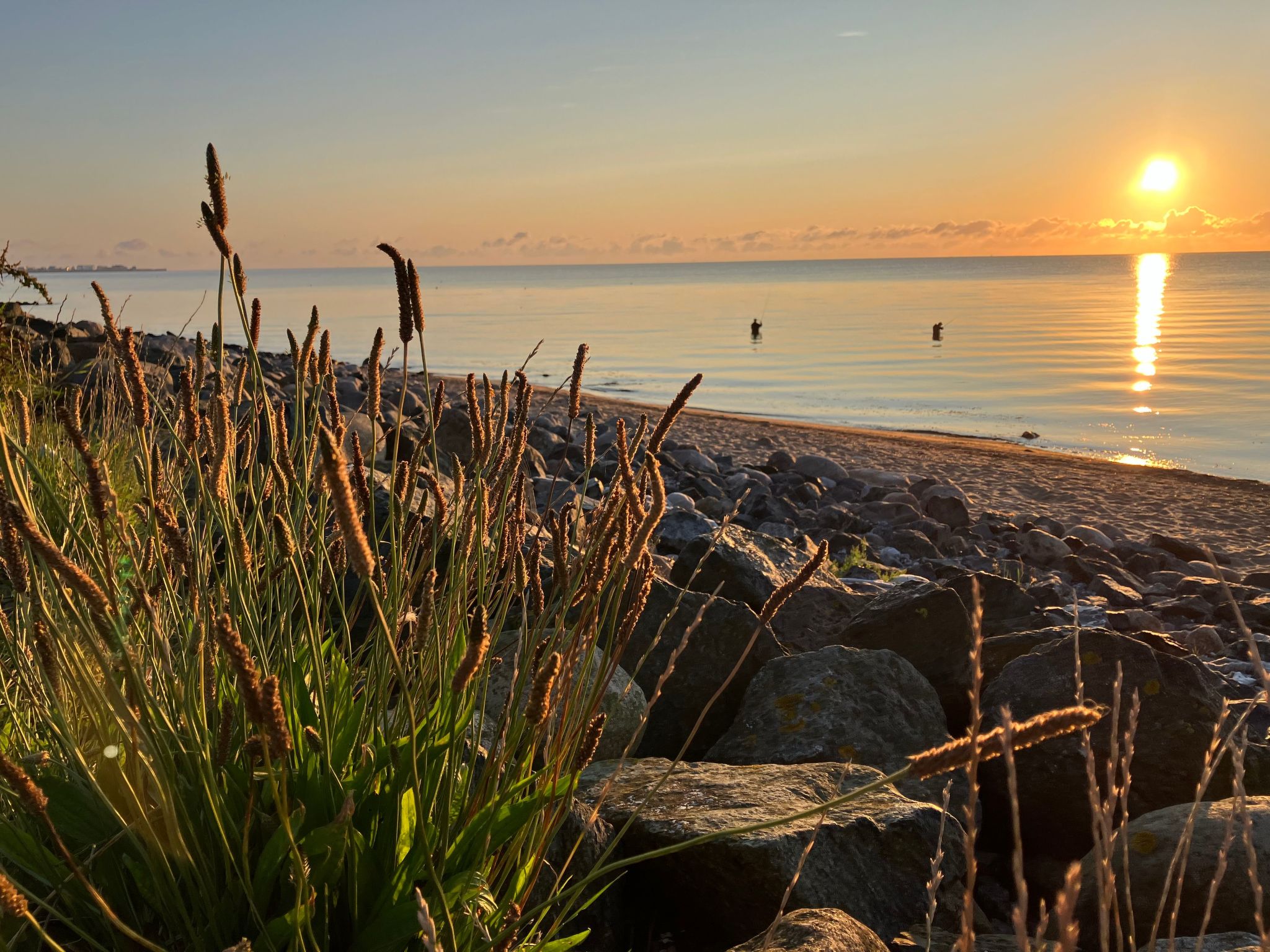 Wohnung Haus mit Herz in Brodersby-Schönhagen-Binnen