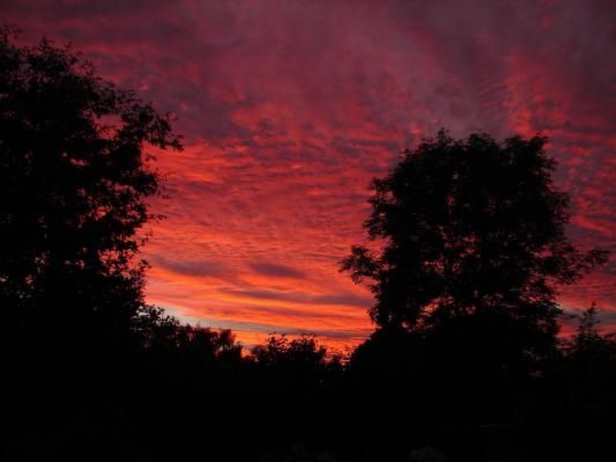In Winnemark mit Großem Garten-Binnen