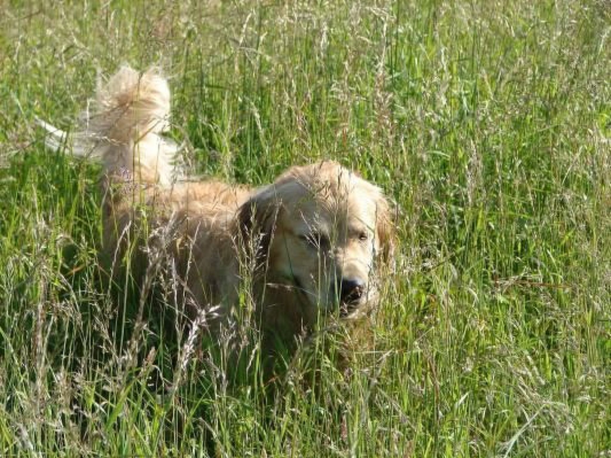 In Winnemark mit Großem Garten-Binnen