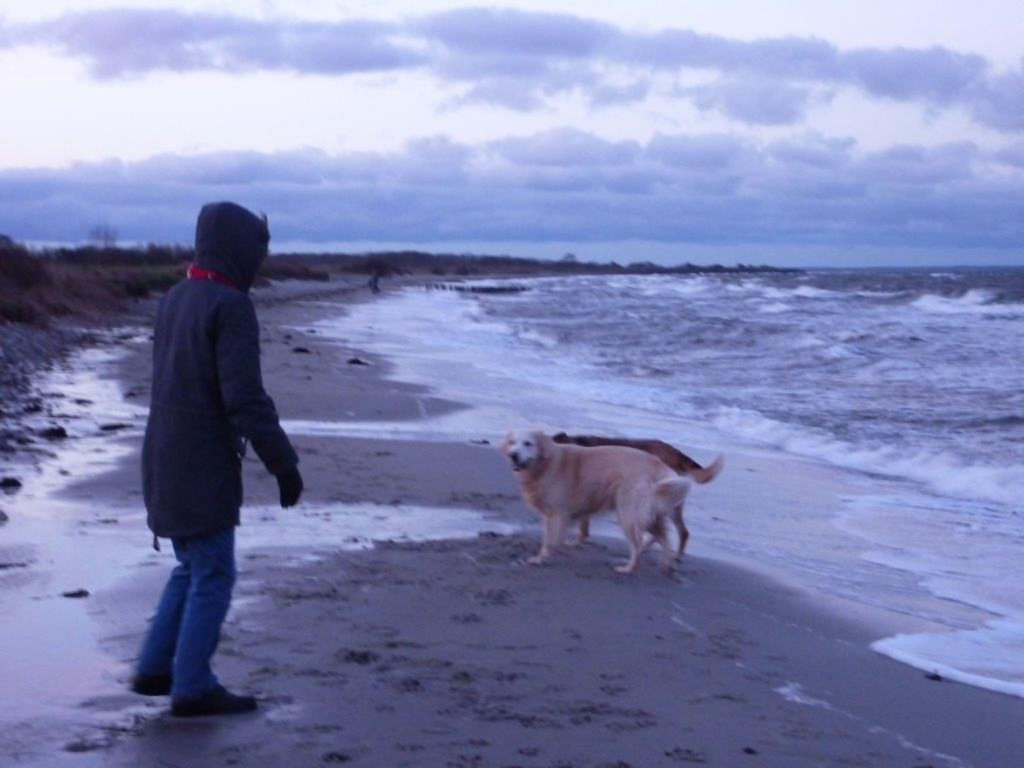 Dänemark in Gelting-Binnen