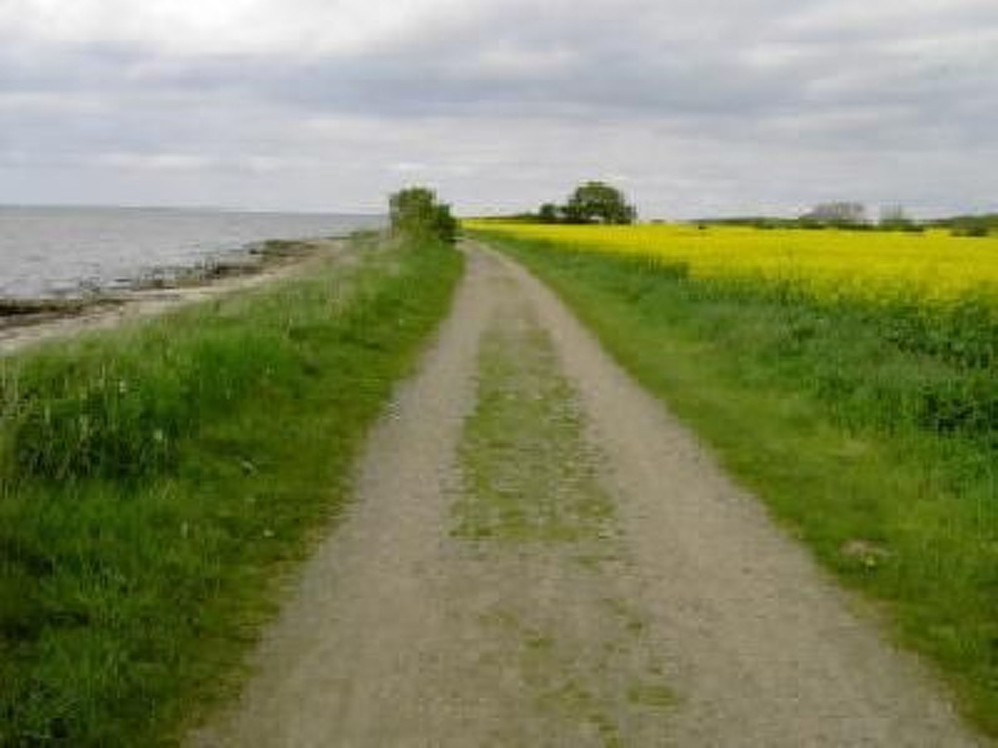 Dänemark in Gelting-Binnen