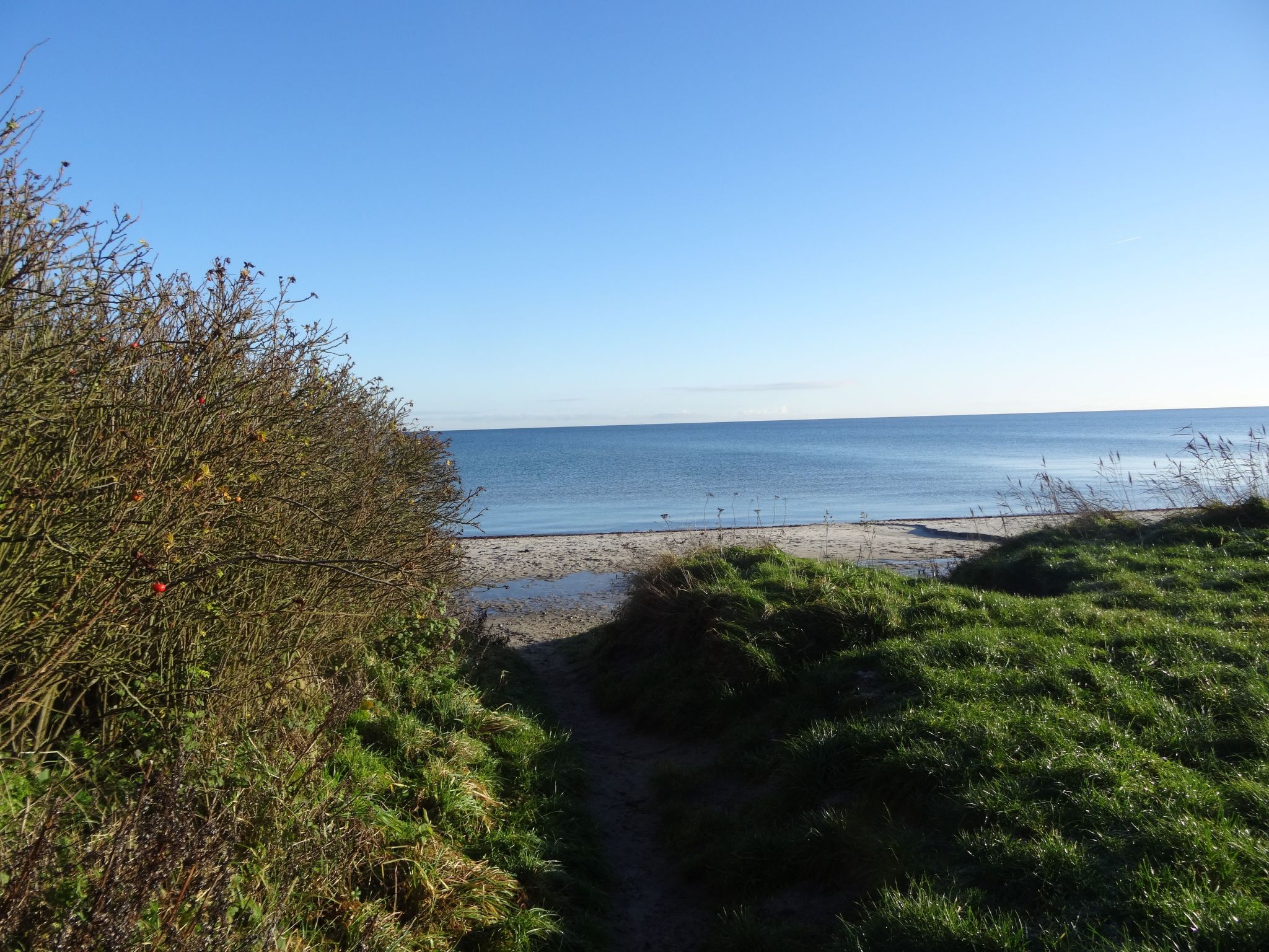 Das Meerchenhaus-Dedans
