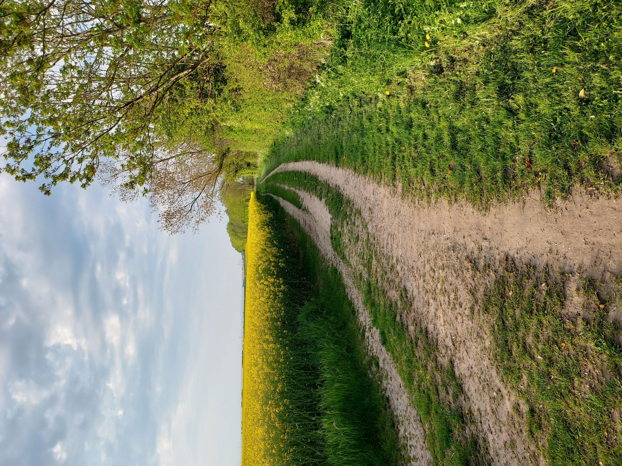Das Meerchenhaus-Dedans
