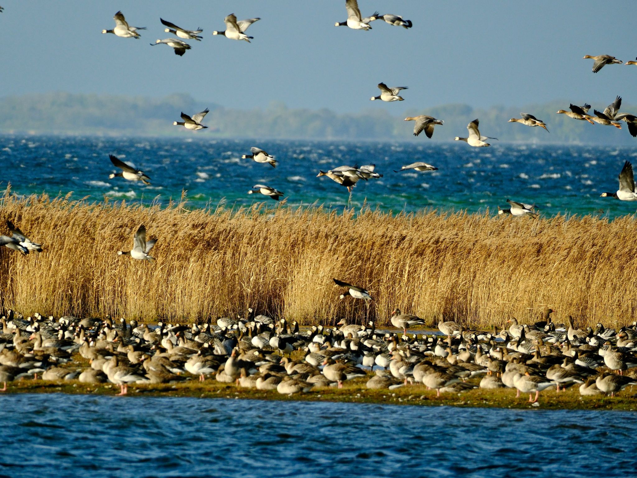 Das Meerchenhaus-Dedans