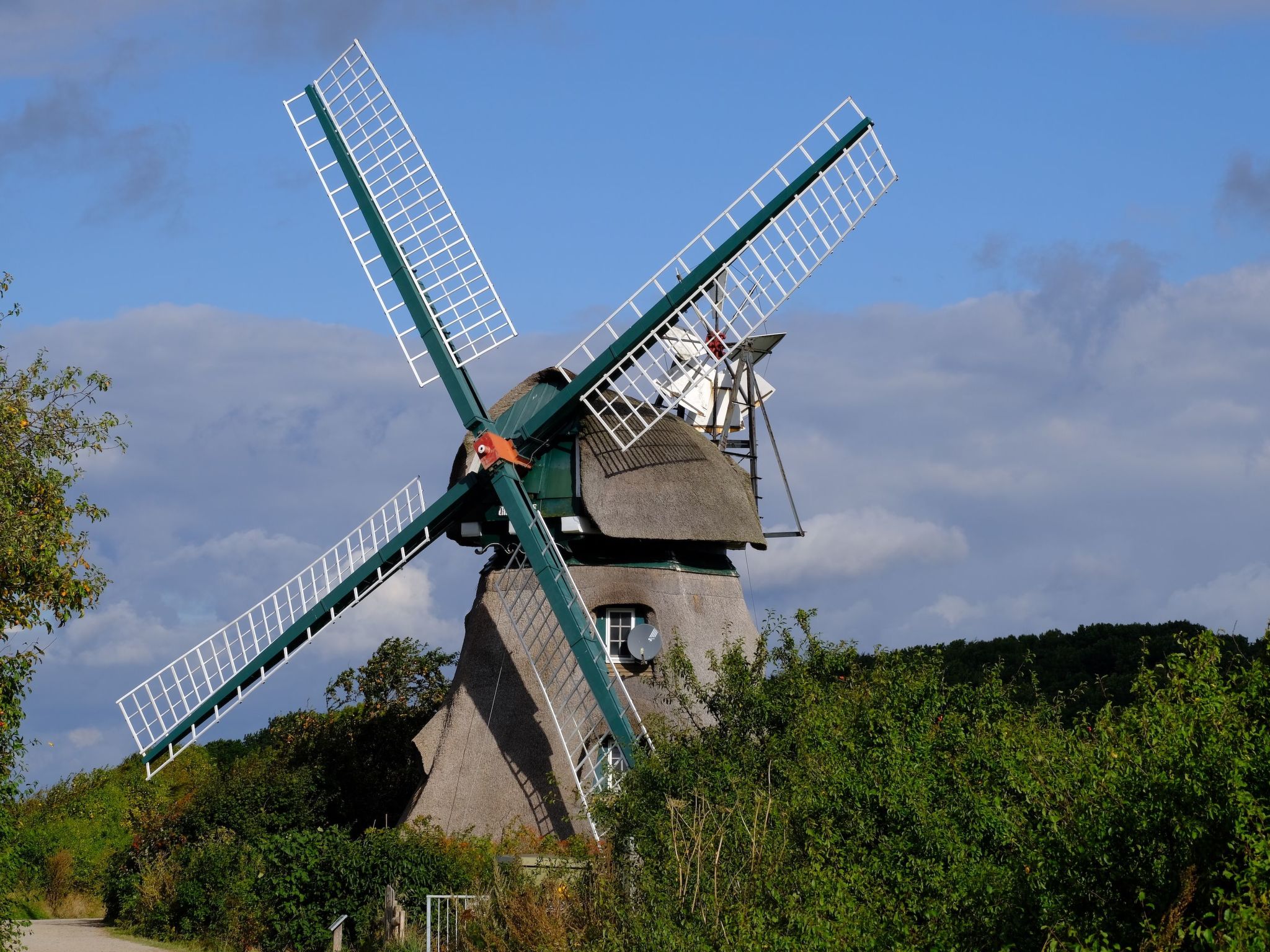 Das Meerchenhaus-Dedans