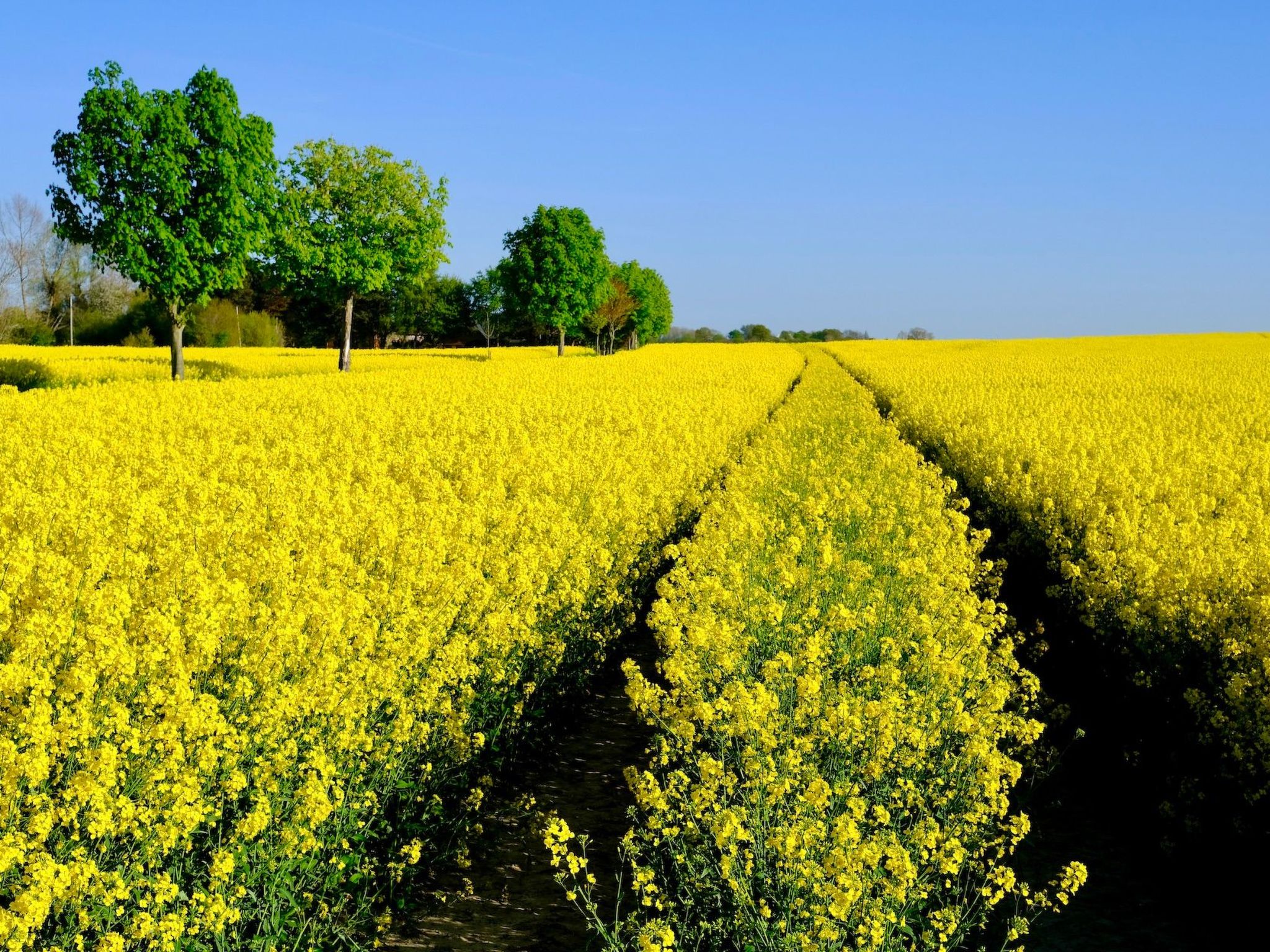 Das Meerchenhaus-Dedans