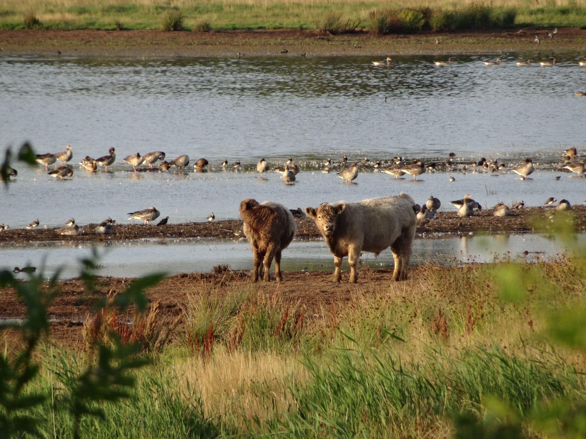 Geltinger Bucht-Image-tags.info