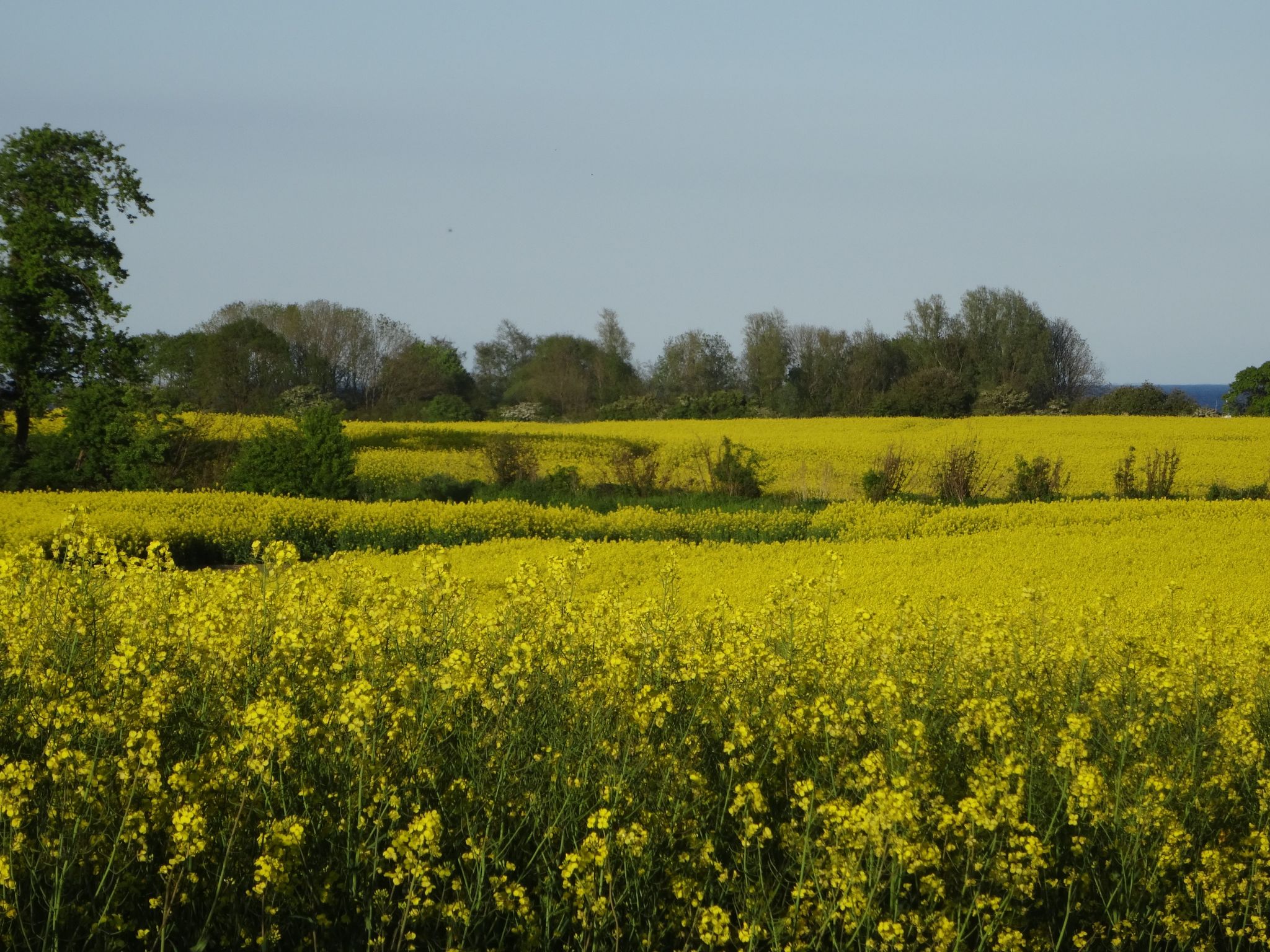 Geltinger Bucht-Image-tags.info