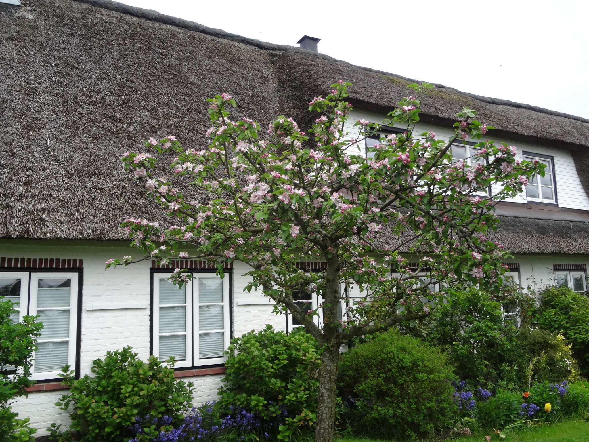 Geltinger Bucht-Image-tags.info