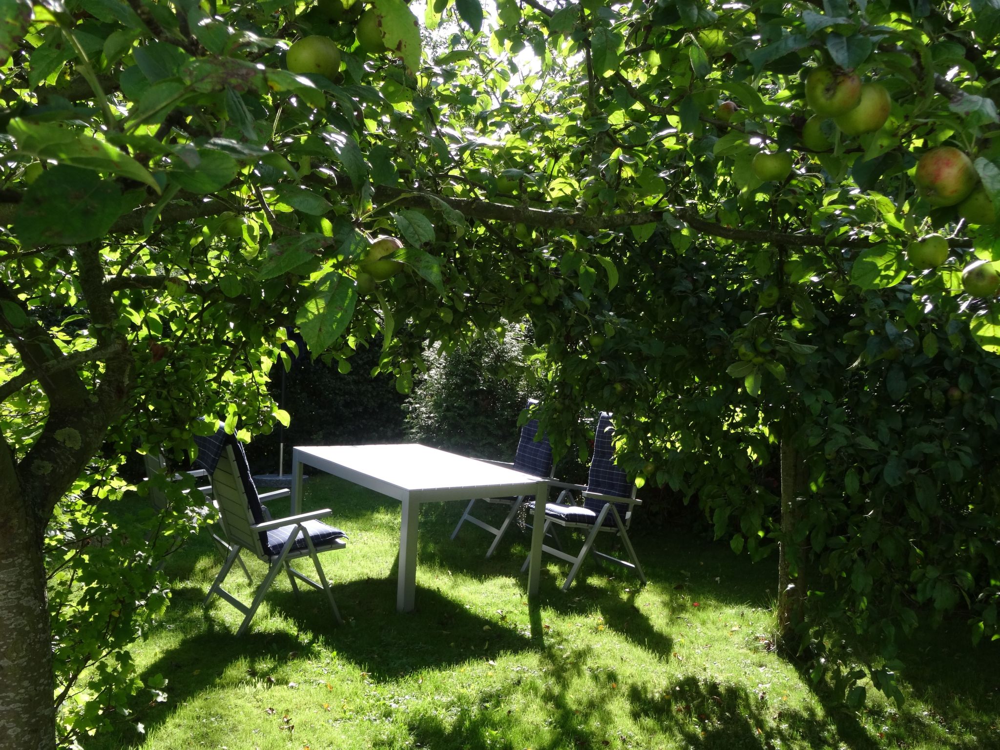 Geltinger Birk-Image-tags.info