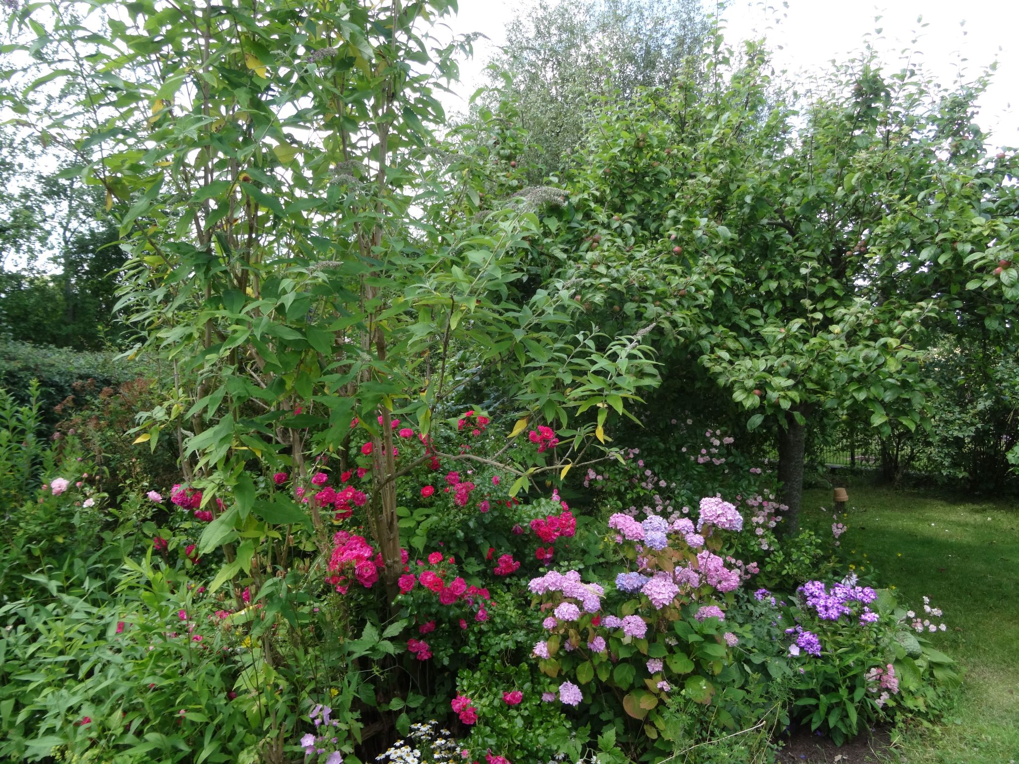 Geltinger Birk-Image-tags.info