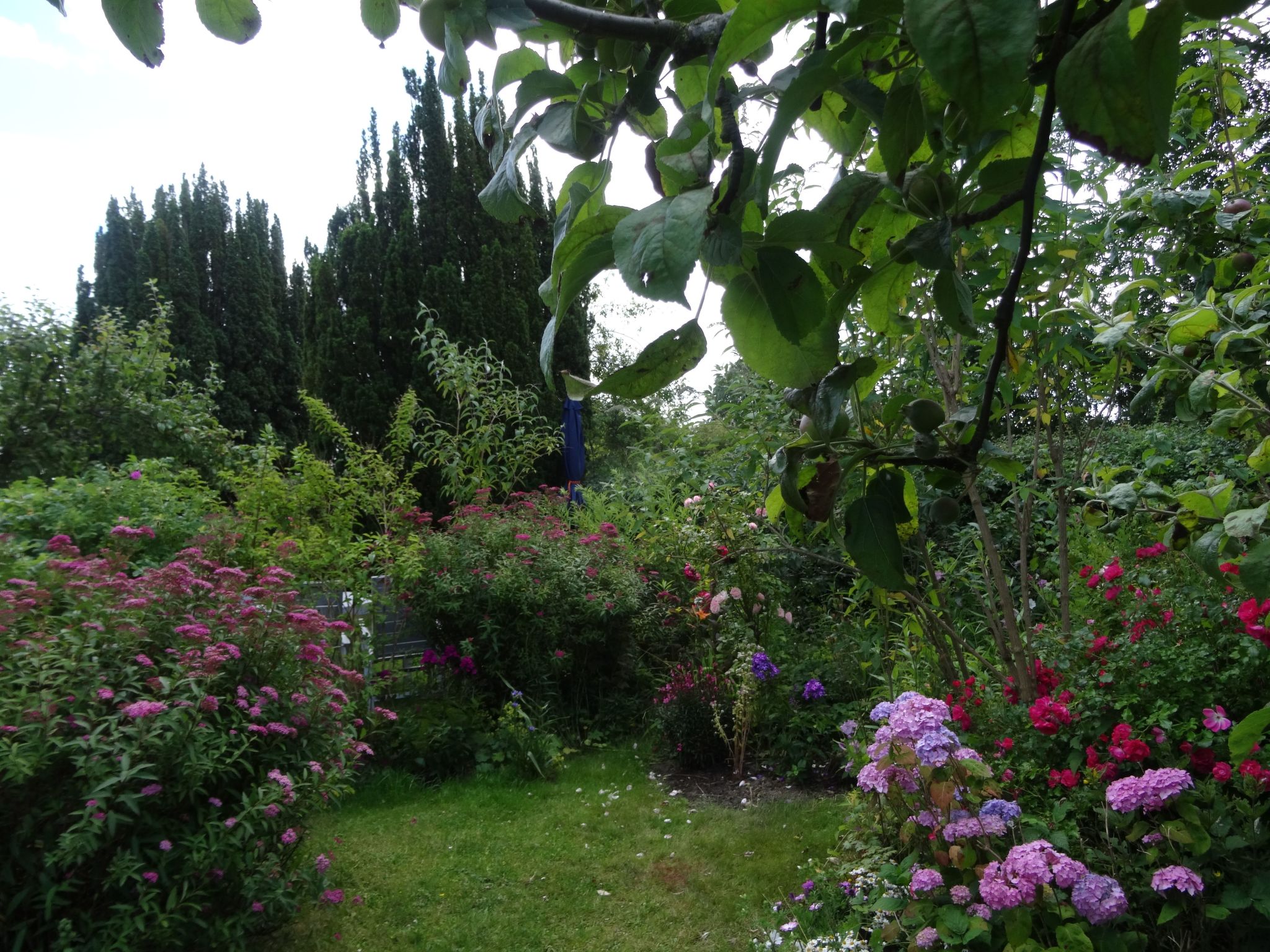 Geltinger Birk-Image-tags.info