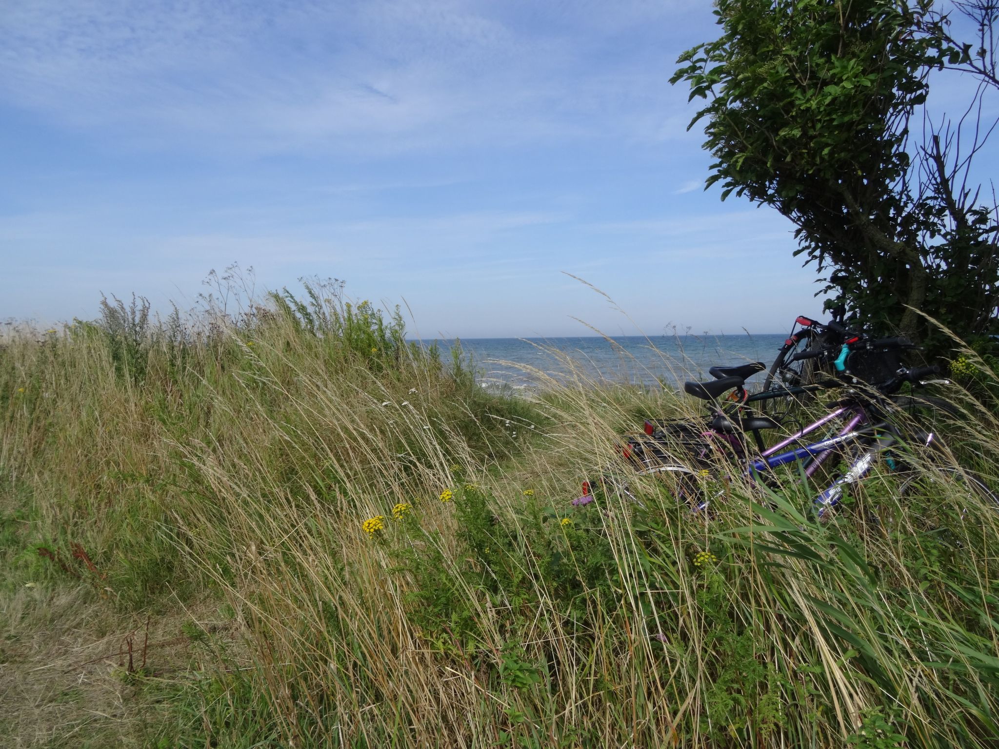 Geltinger Birk-Image-tags.info