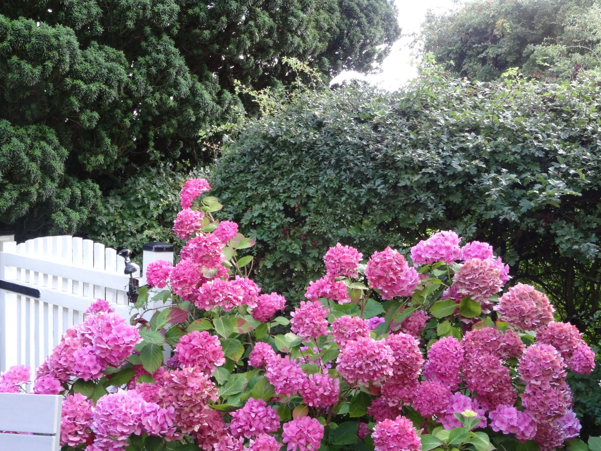 Zum Leuchtturm-Image-tags.info