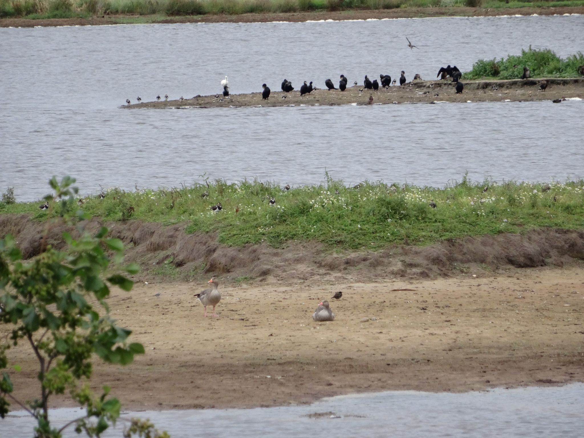 Zum Leuchtturm-Image-tags.info