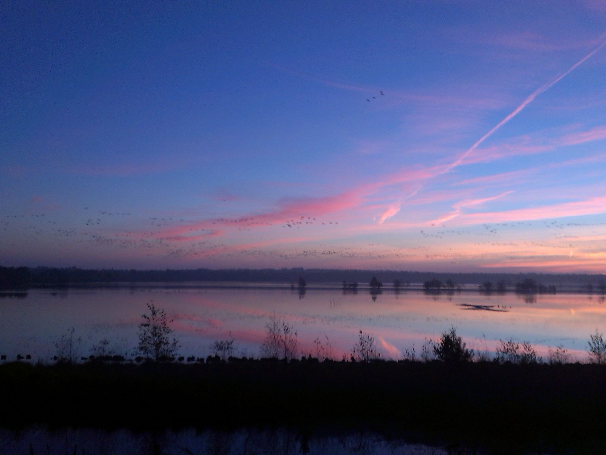 Zum Leuchtturm-Image-tags.info