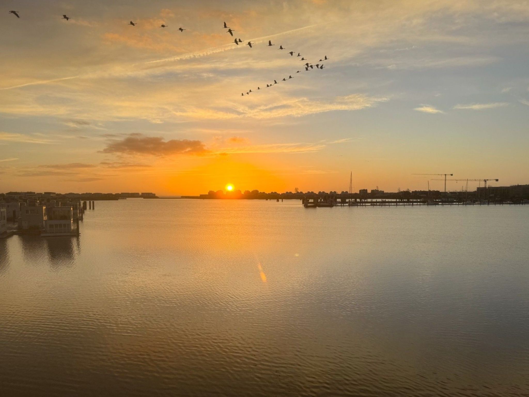 Schleivilla Kapitän James Cook2,  Löwen Dart HB8