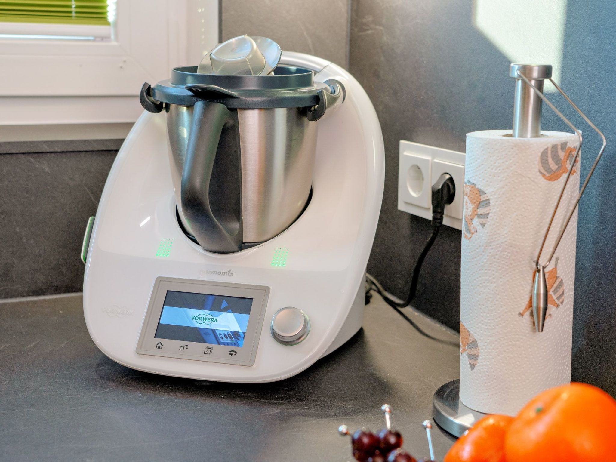 Schleivilla Kapitän James Cook2,  Löwen Dart HB8-Image-tags.info