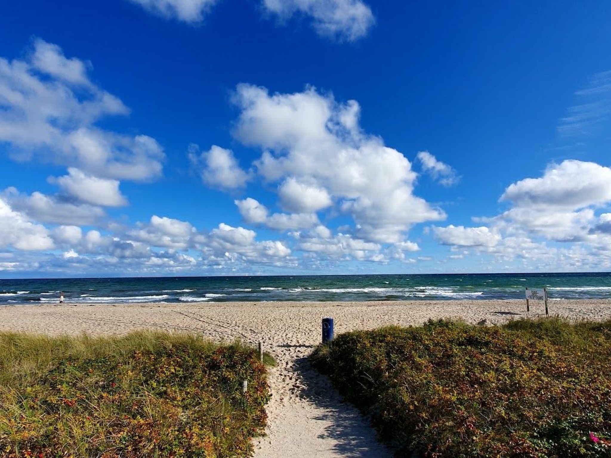 Maltes-Ostseekoje-Image-tags.info