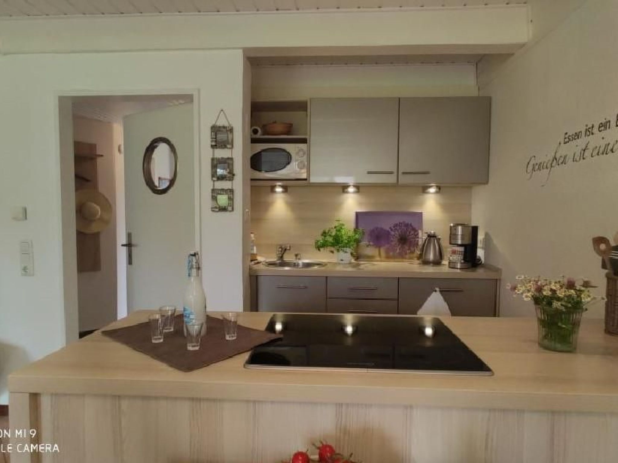 Koje mit Schleiblick