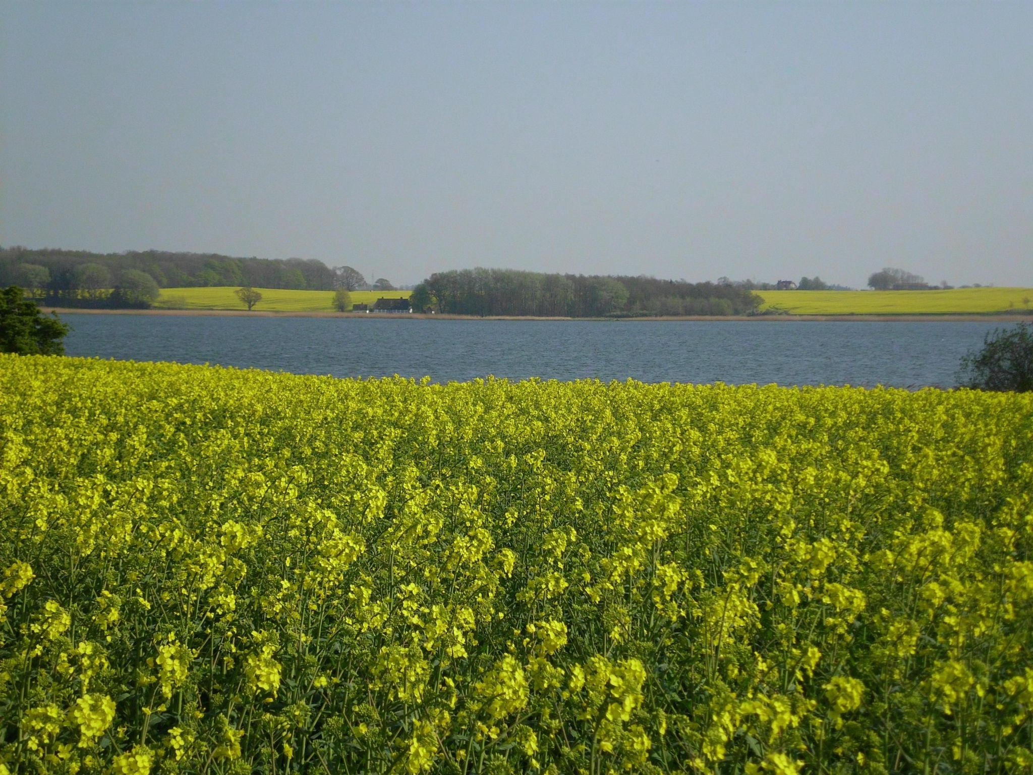 Wohnung in Kappeln mit Terrasse-Inside